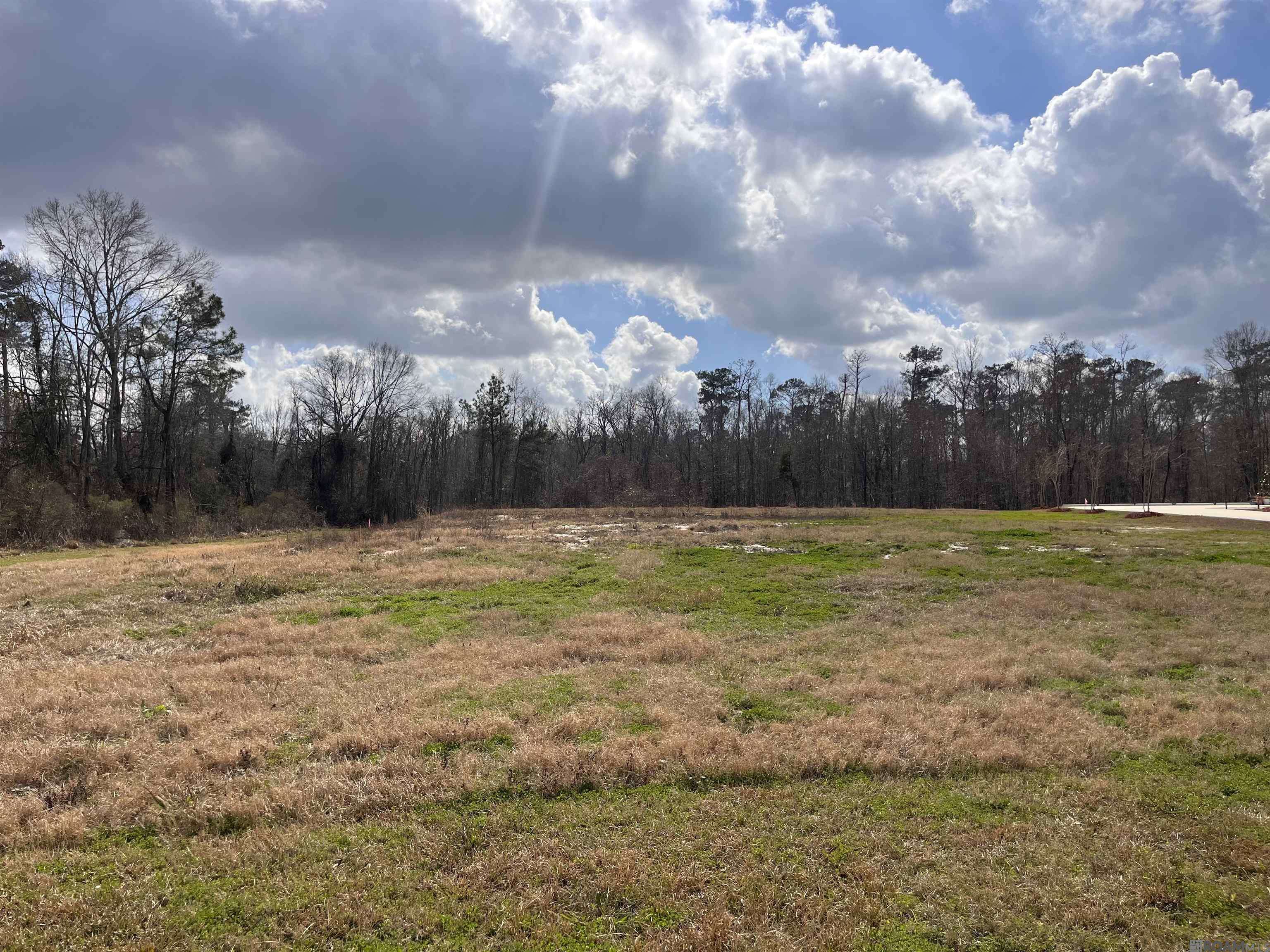 Prairieville, LA 70769,15475 Molly Grace