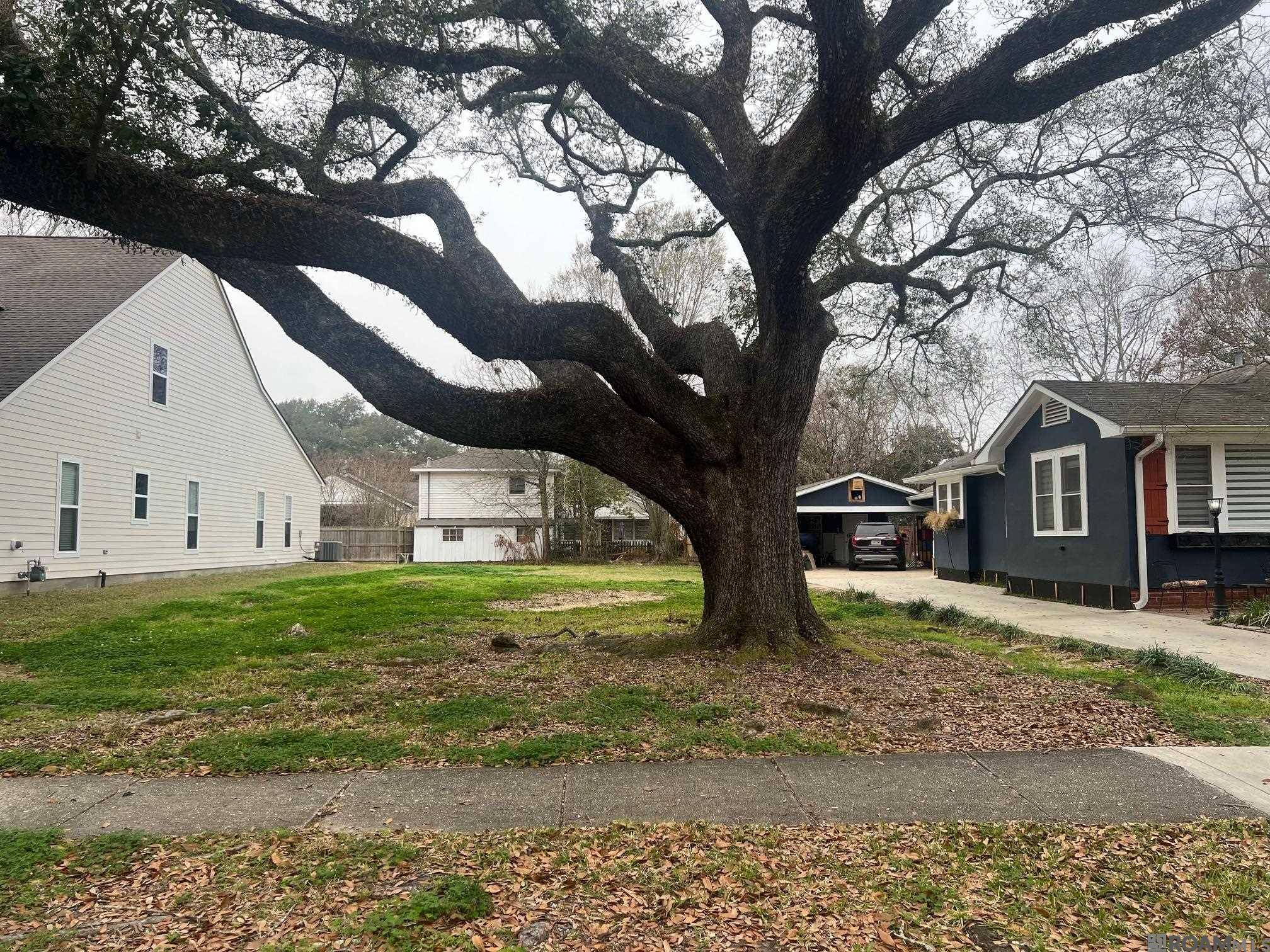 Baton Rouge, LA 70808,1542 S Eugene St