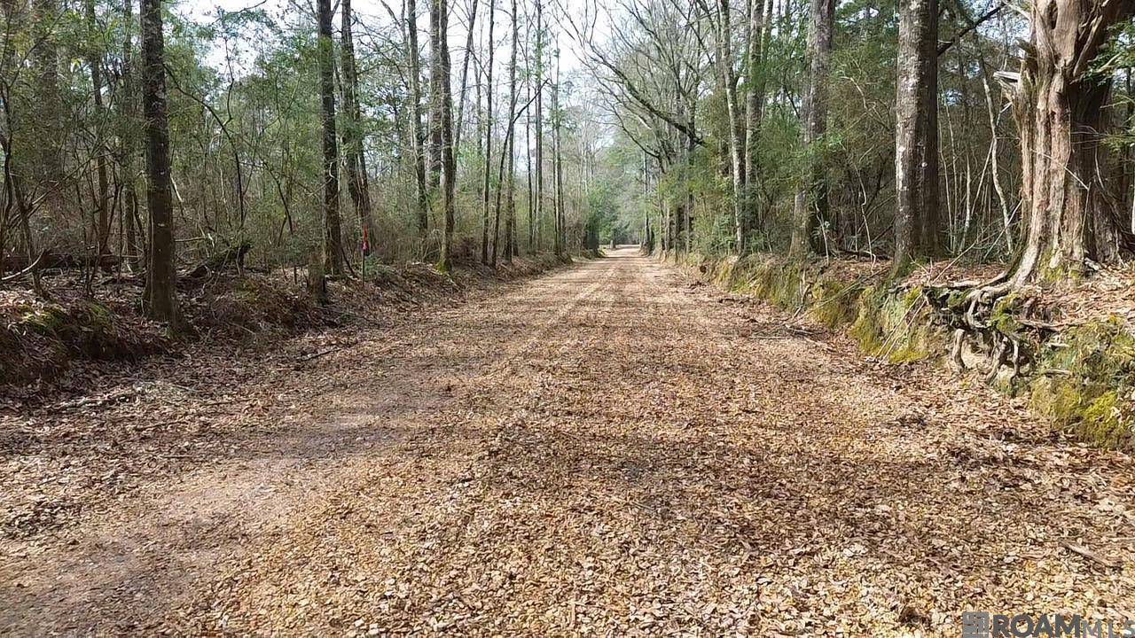 Roseland, LA 70456,Tract 2-A Bryce Hyde Rd