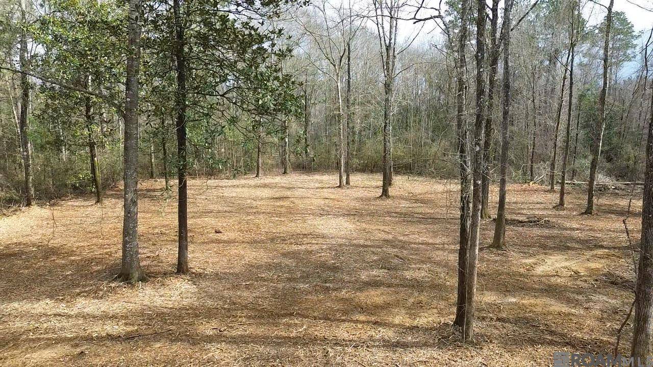 Roseland, LA 70456,Tract 2-A Bryce Hyde Rd