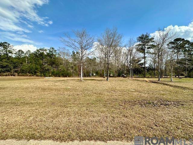 Robert, LA 70455,23187 Audubon Lakes Blvd