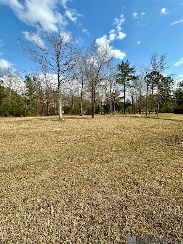 Robert, LA 70455,23187 Audubon Lakes Blvd
