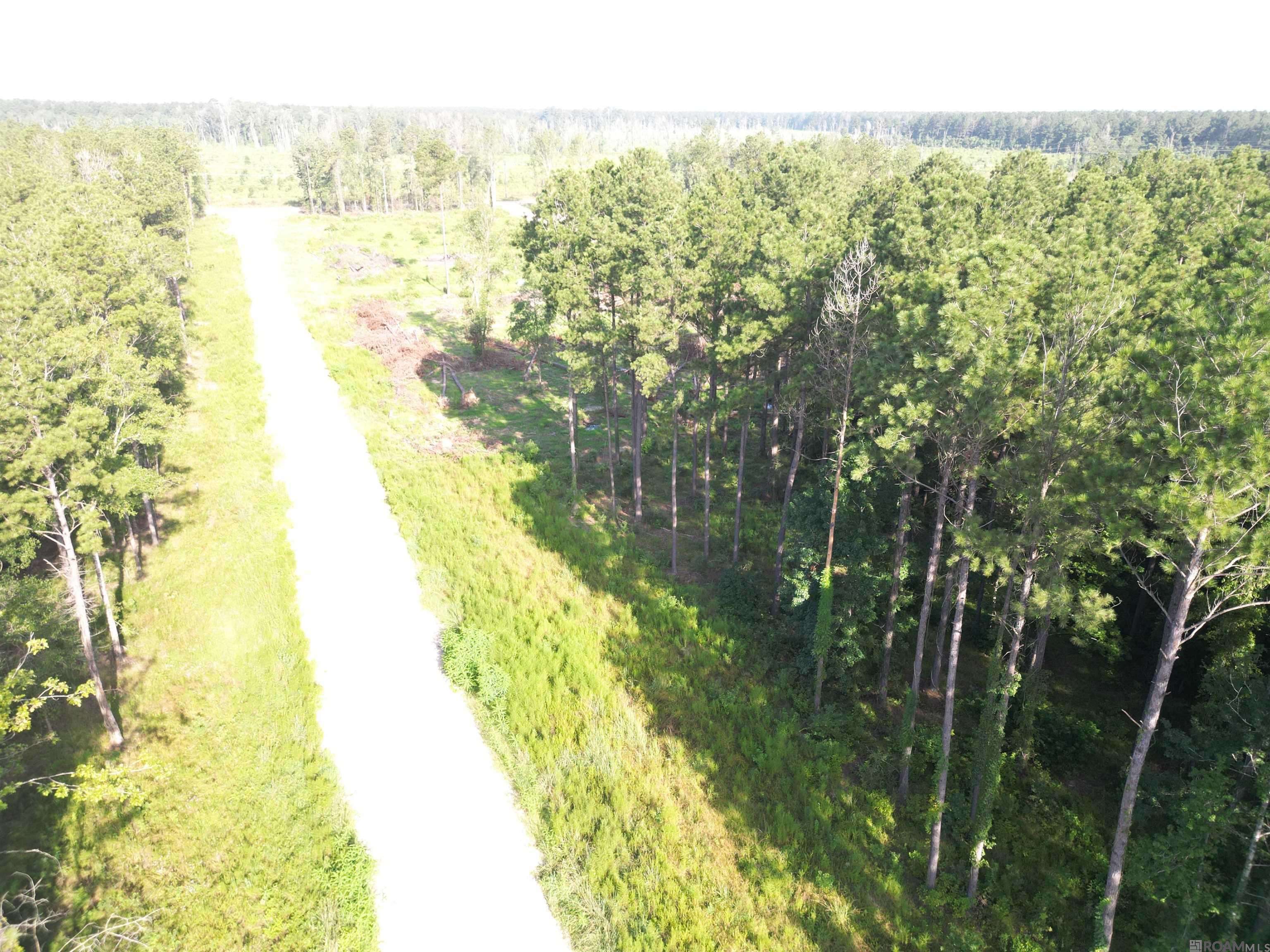 Livingston, LA 70754,LOT 2 Butterbean Ridge