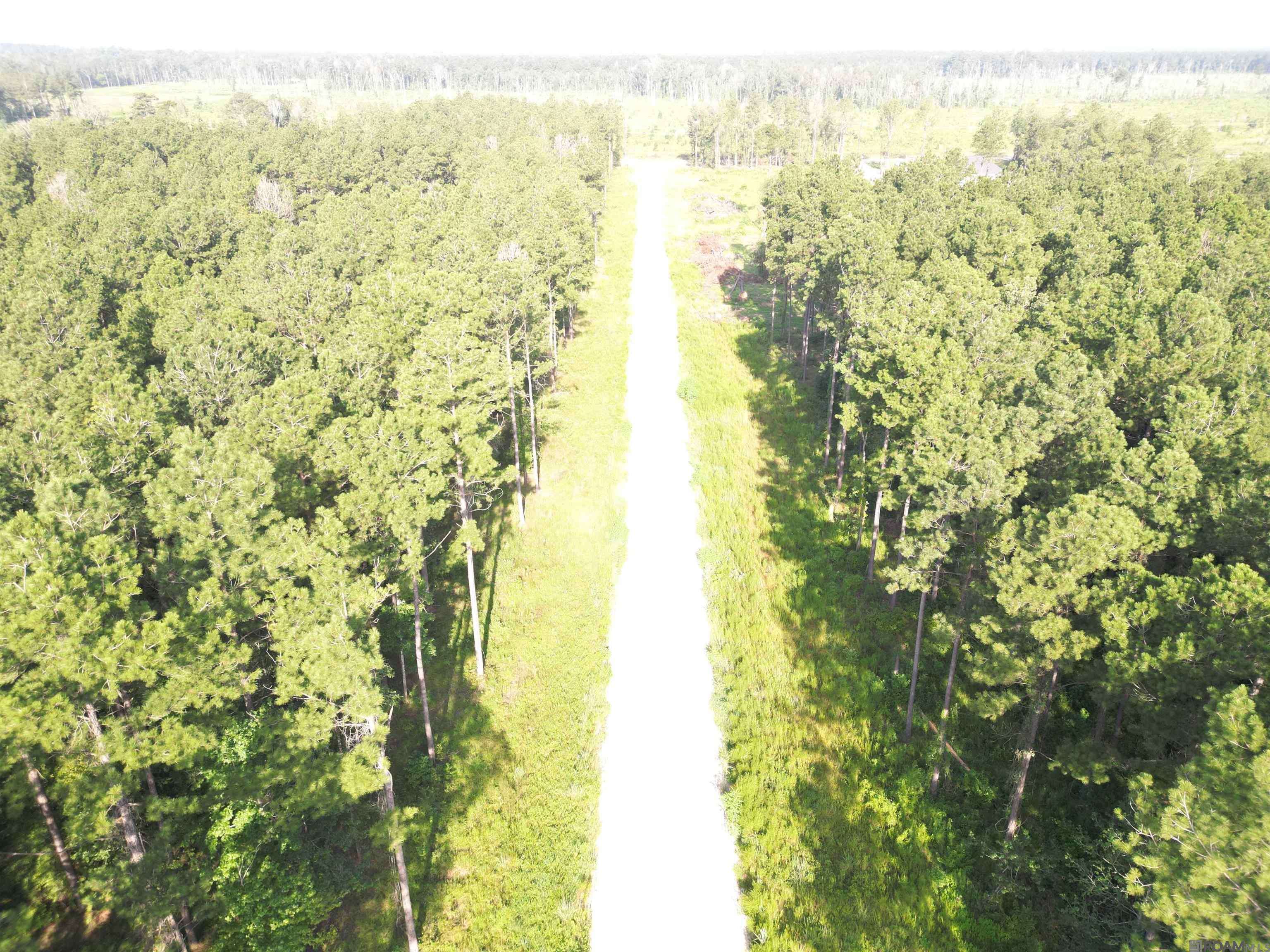Livingston, LA 70754,LOT 3 Butterbean Ridge