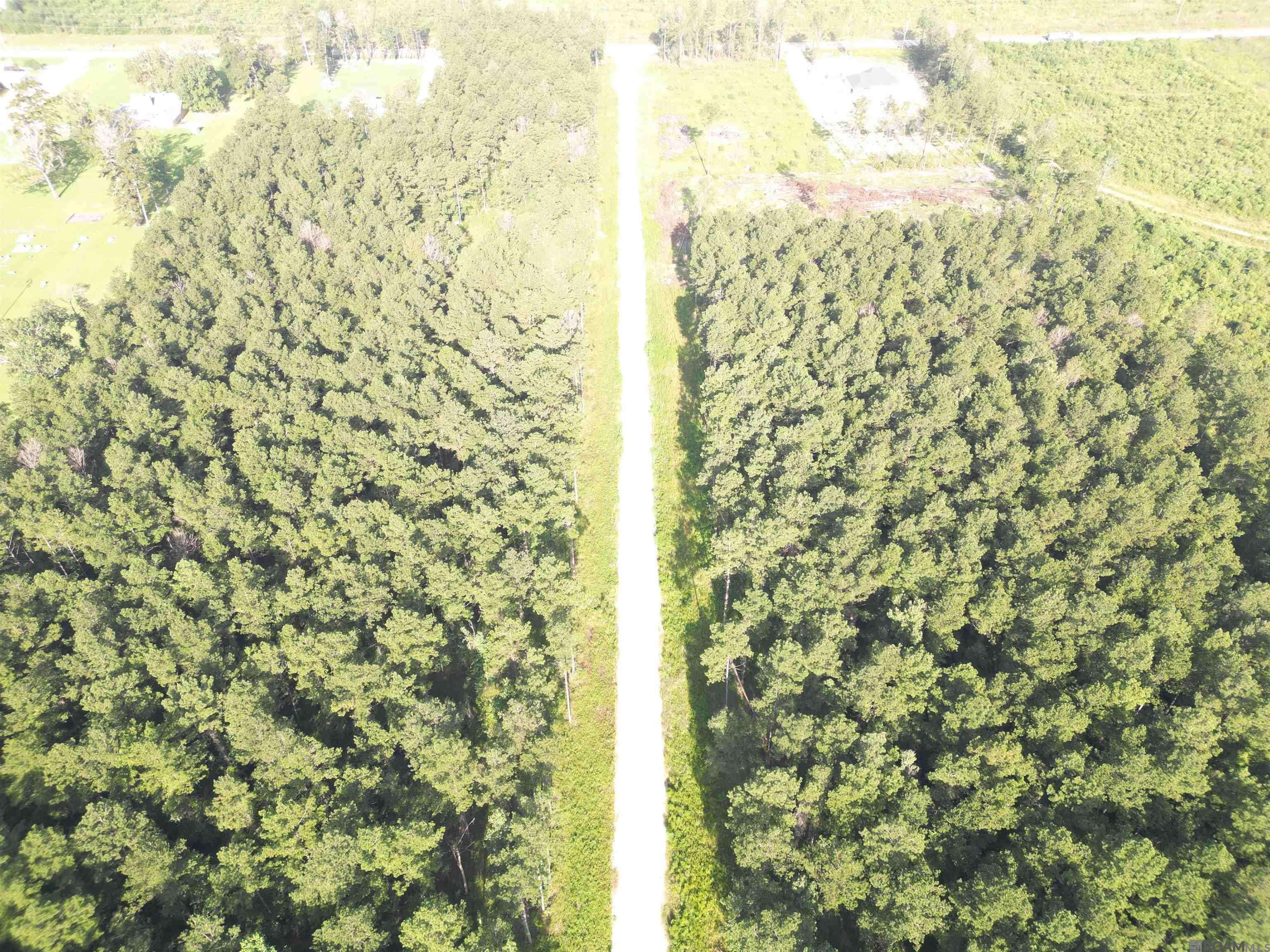 Livingston, LA 70754,LOT 5 Butterbean Ridge
