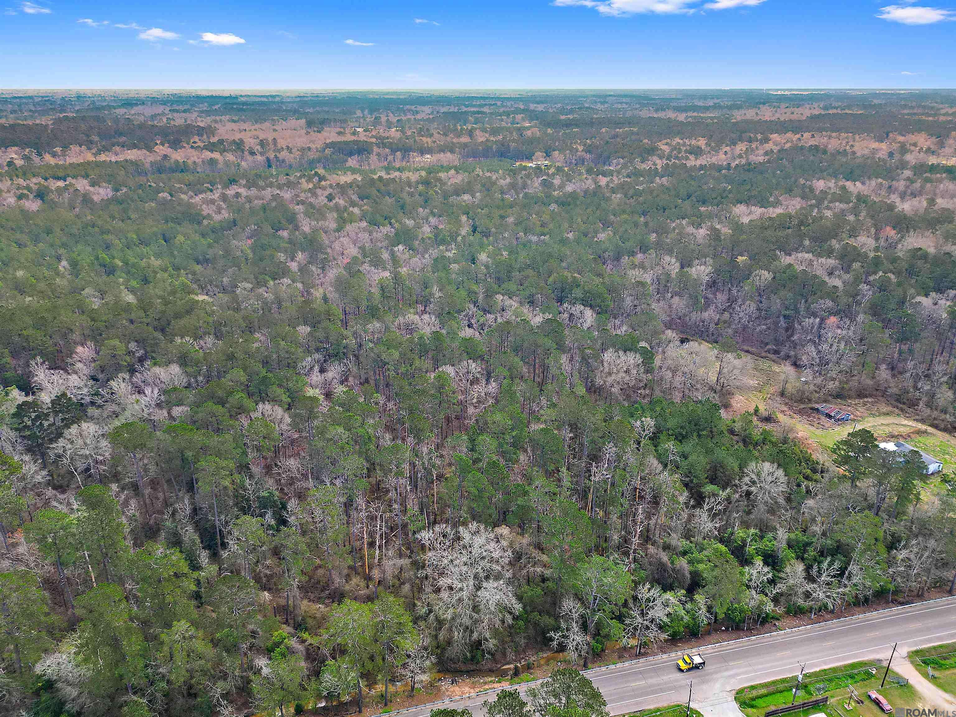 Tickfaw, LA 70466,TBD Highway 51