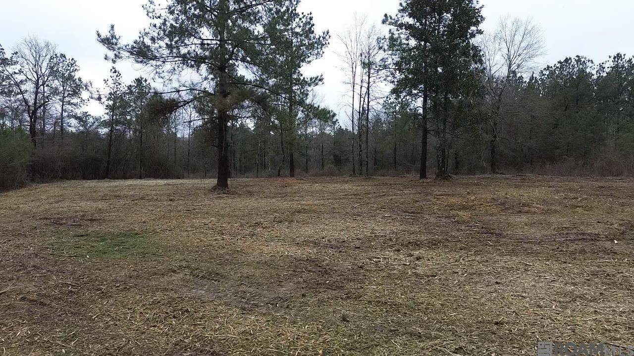 Kentwood, LA 70444,Tract 2-B La Hwy 1049