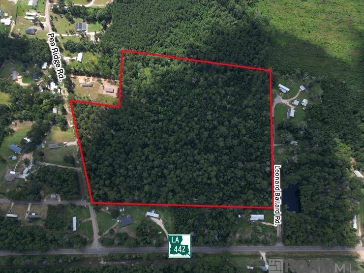Albany, LA 70711,TBD H-4 Pea Ridge Rd