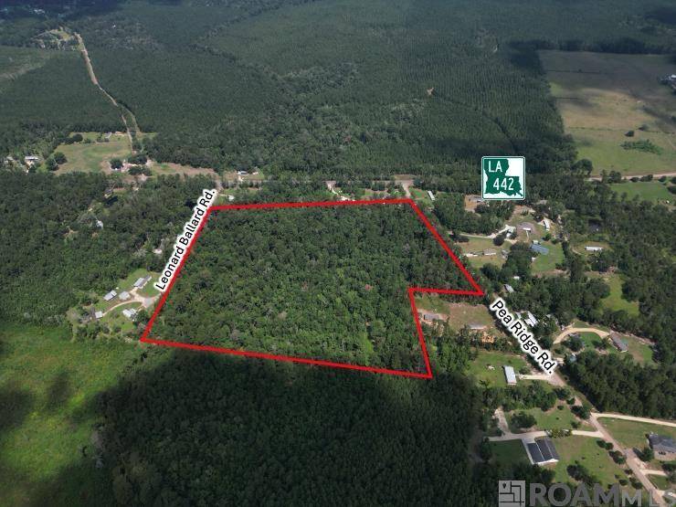 Albany, LA 70711,TBD H-7 Pea Ridge Rd
