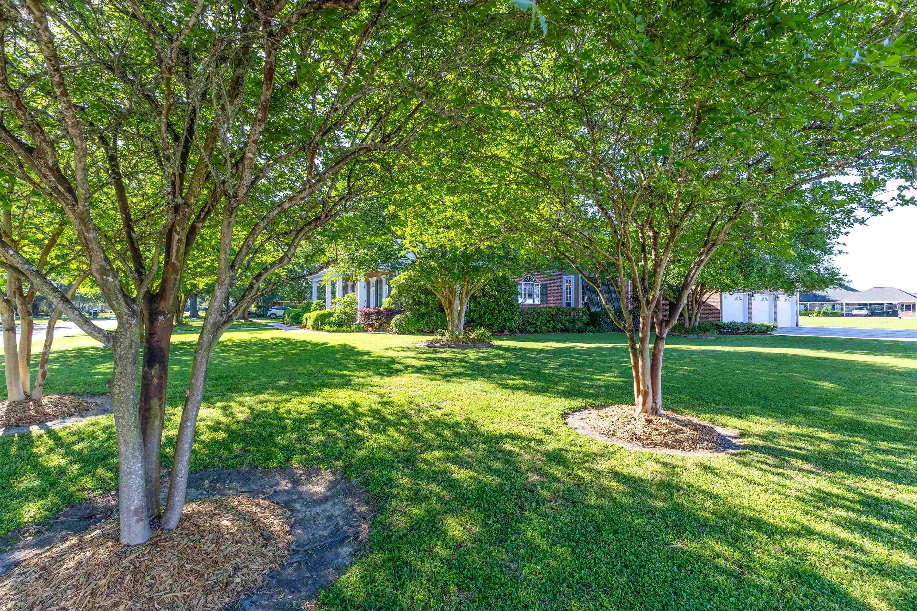 Thibodaux, LA 70301,200 Rienzi Drive