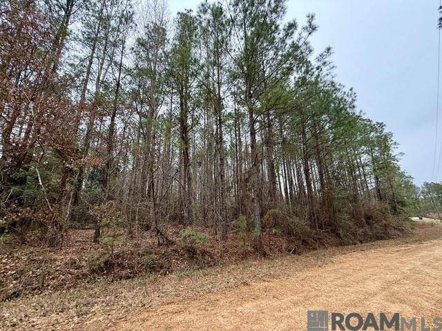 Meadville, MS 39653,0 Maypop Lane