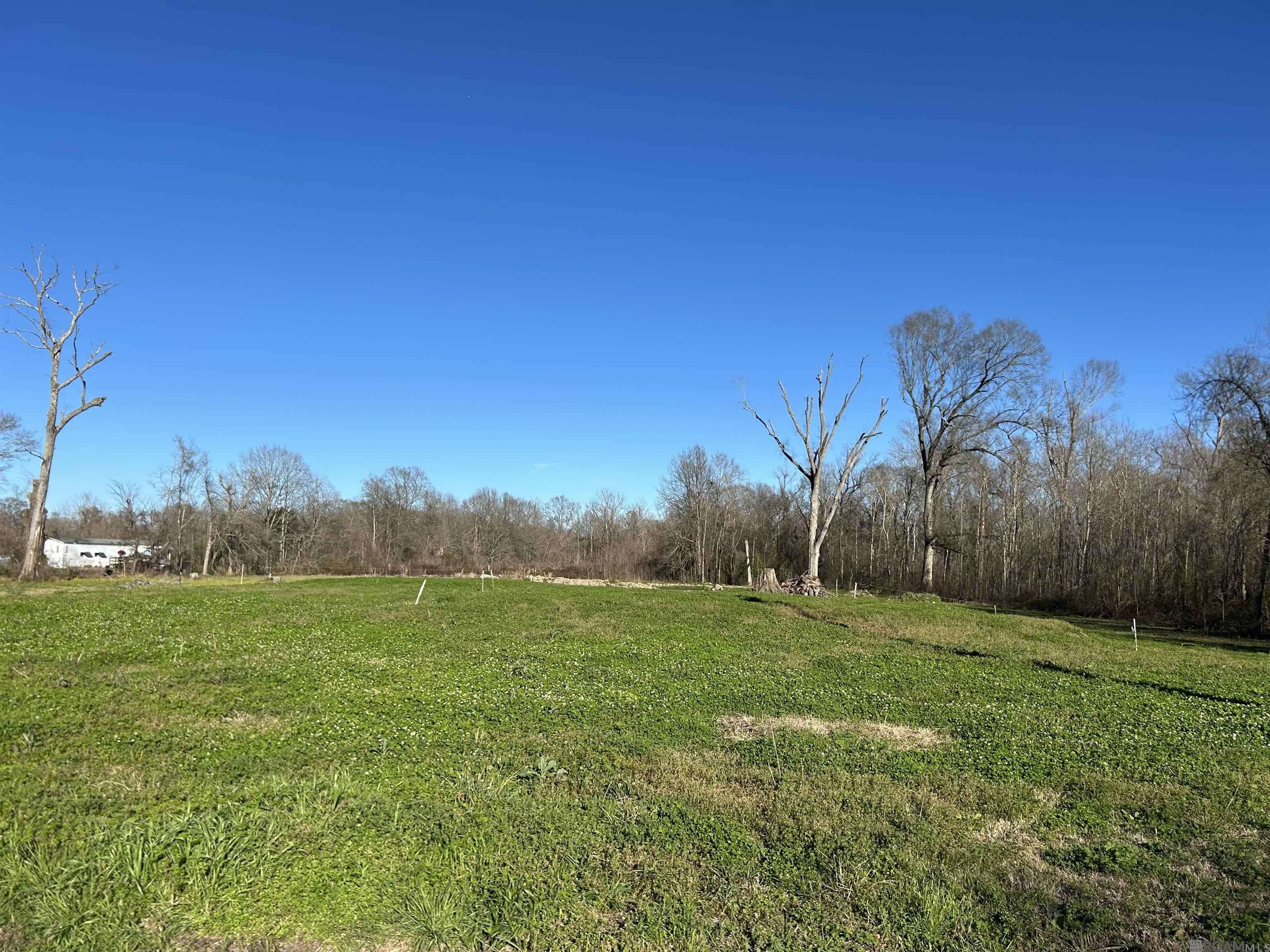 St Amant, LA 70774,Poirrier Rd