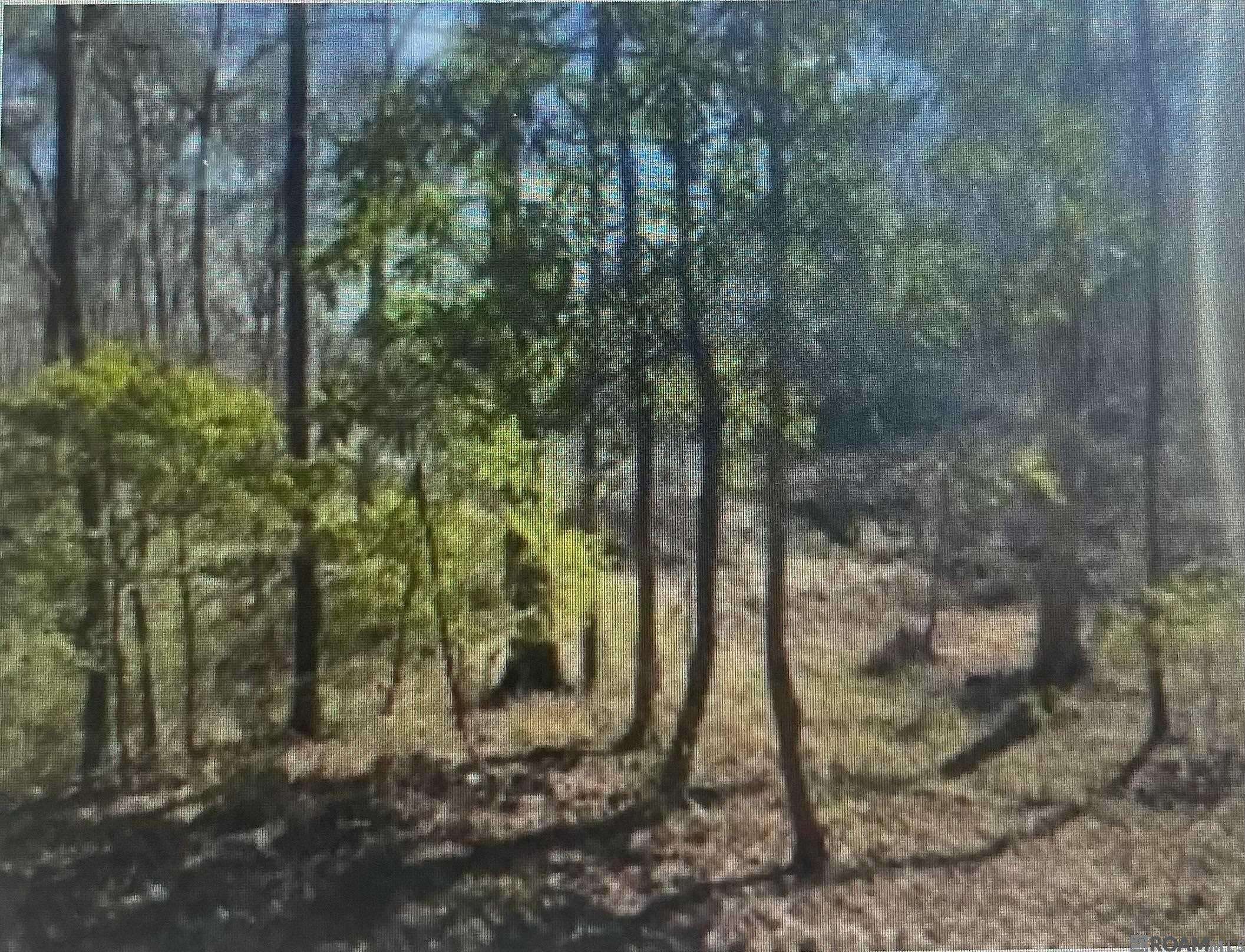 Natchez, MS 39120,0 Turkey Creek Rd