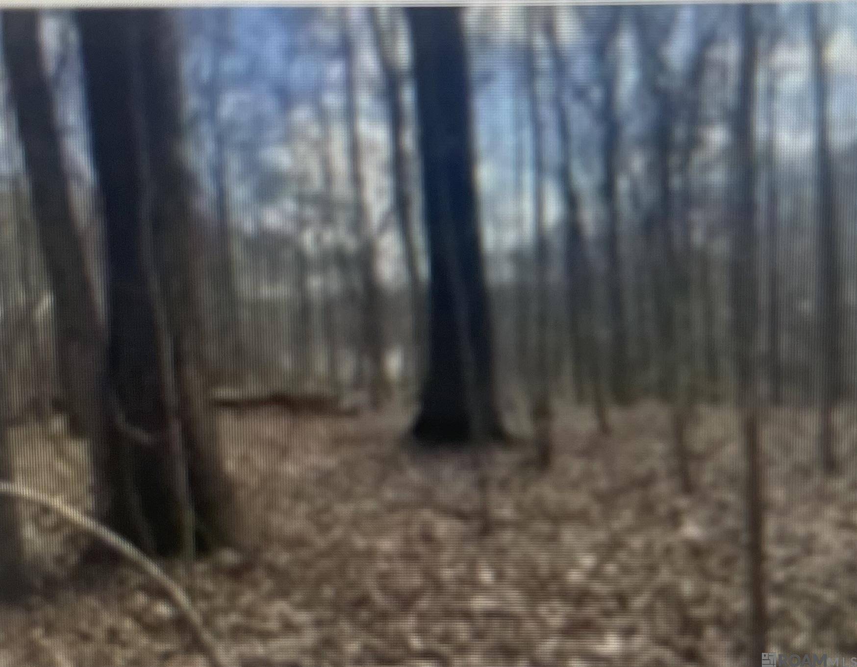 Natchez, MS 39120,LOT 12 Turkey Creek Rd