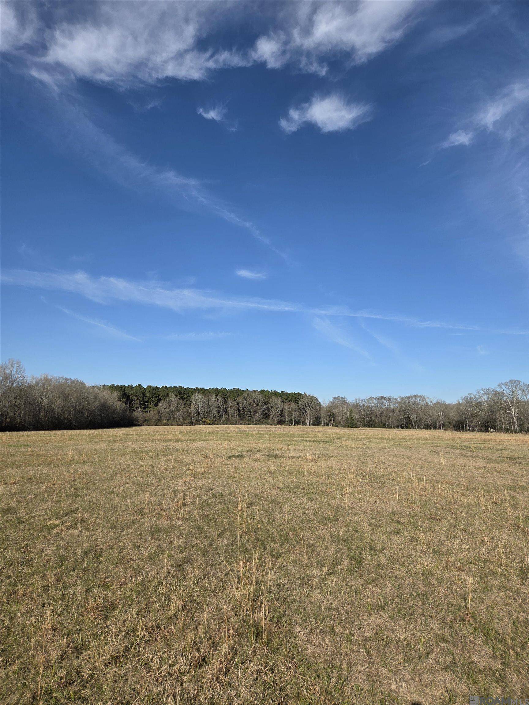 St Francisville, LA 70775,TBD La Hwy 966