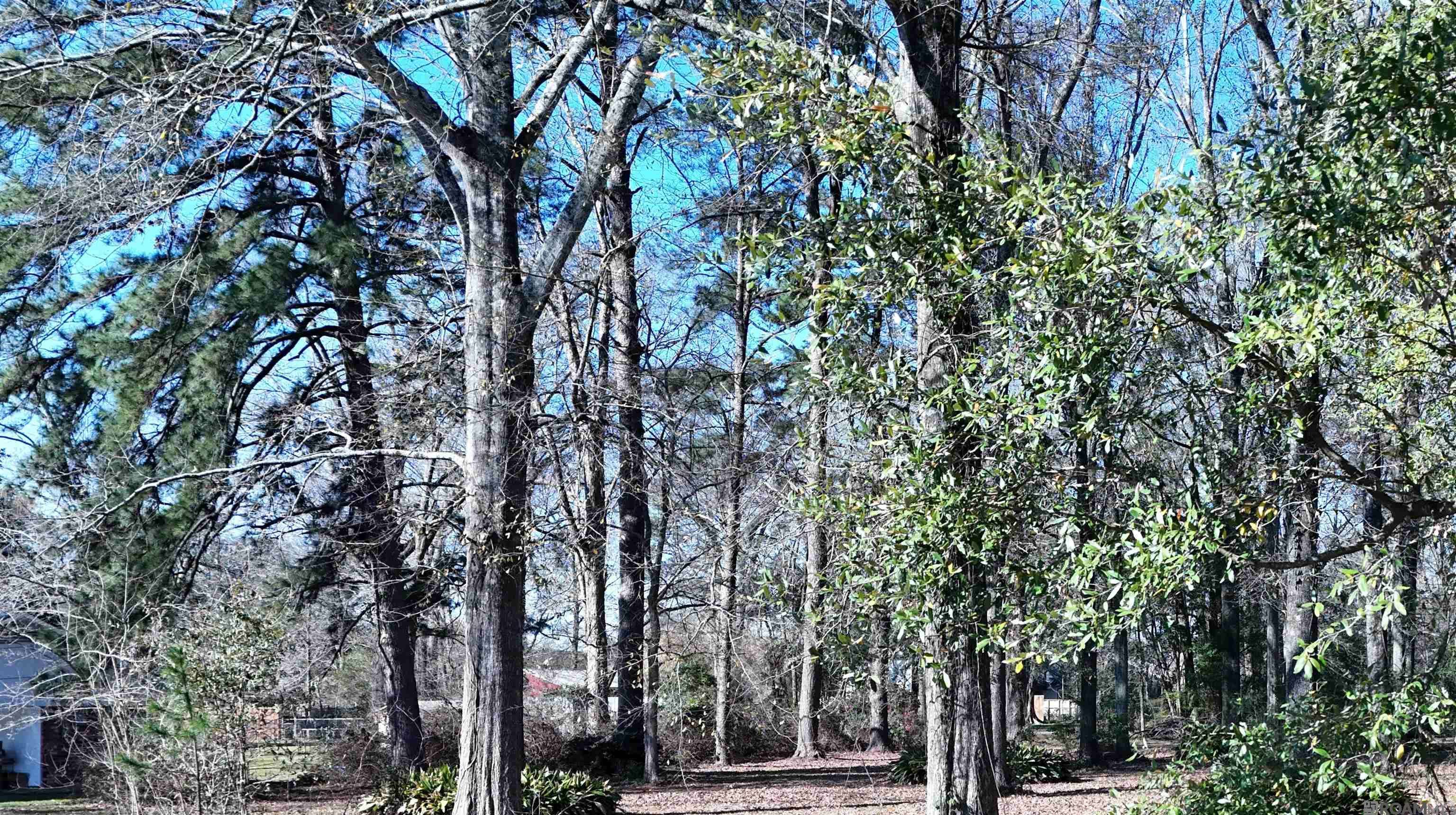Baton Rouge, LA 70806,1420 Cyril Ave