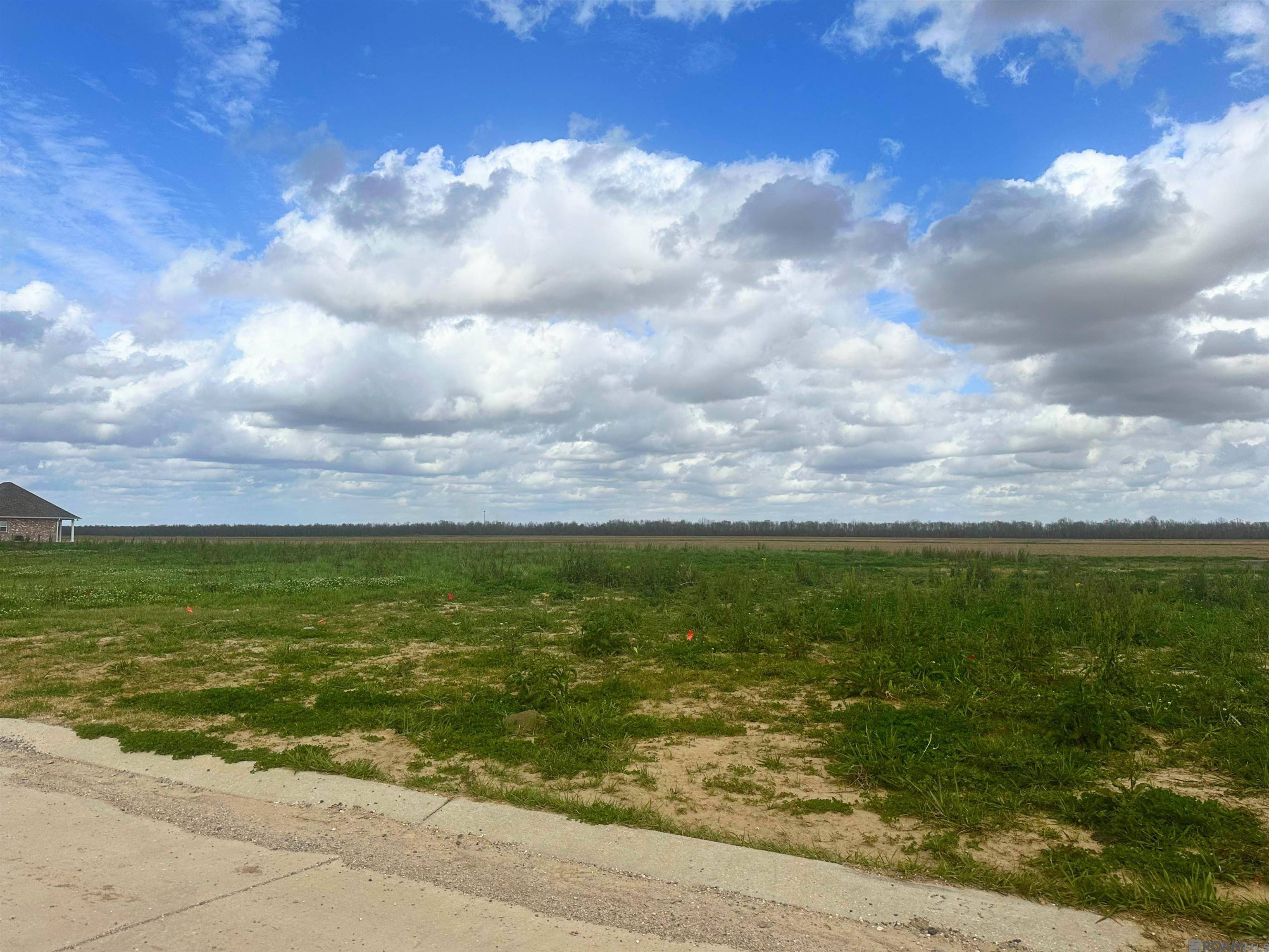 Paulina, LA 70763,2330 E Bellevue Lakes St