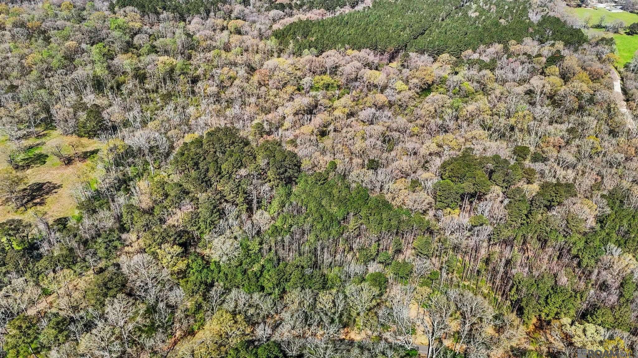 Clinton, LA 70722,tbd Beechgrove