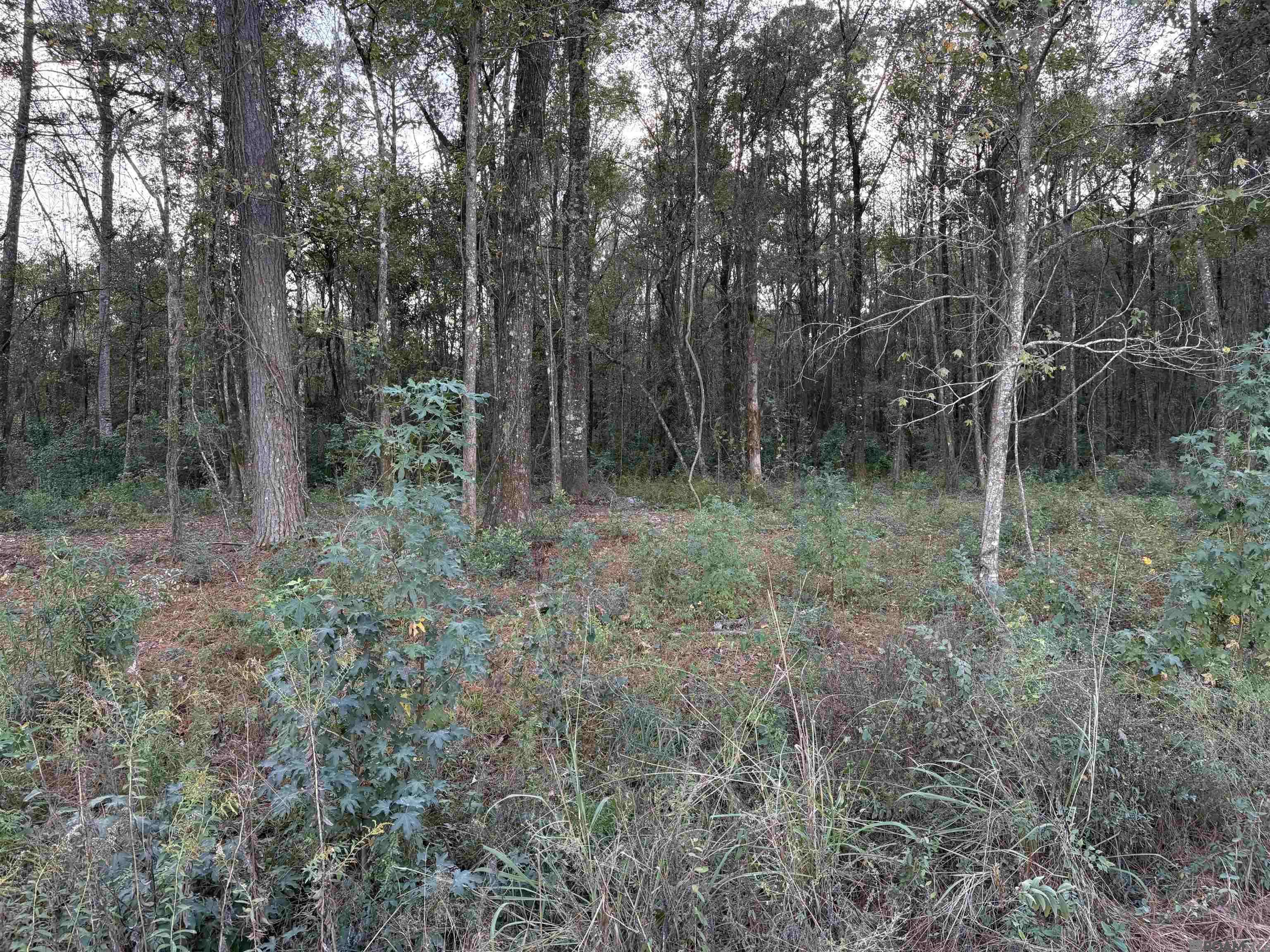 Denham Springs, LA 70706,Tract RS-18 J.h. Jenkins Ln