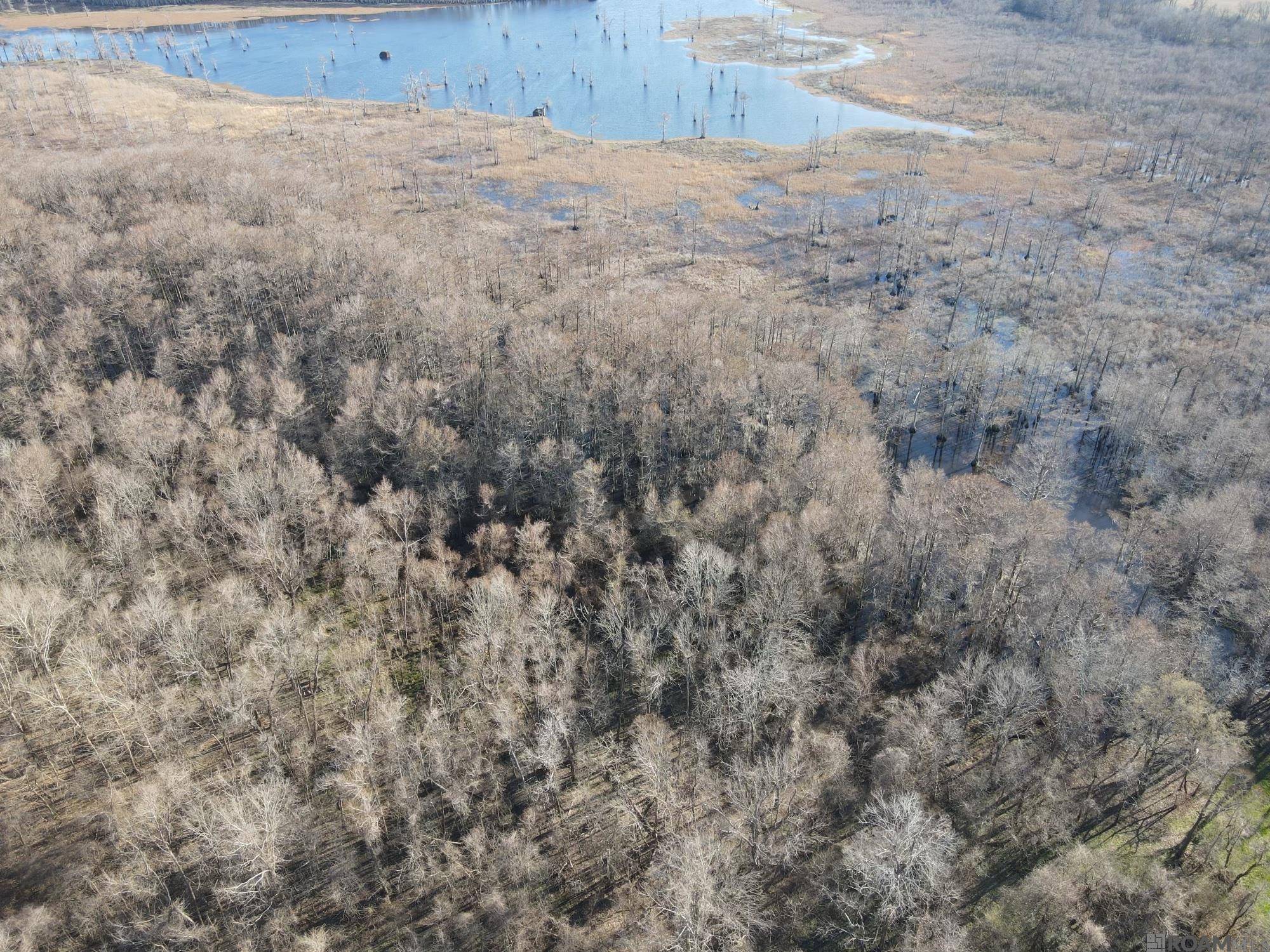 Marksville, LA 71351,306 Big Sky Ln