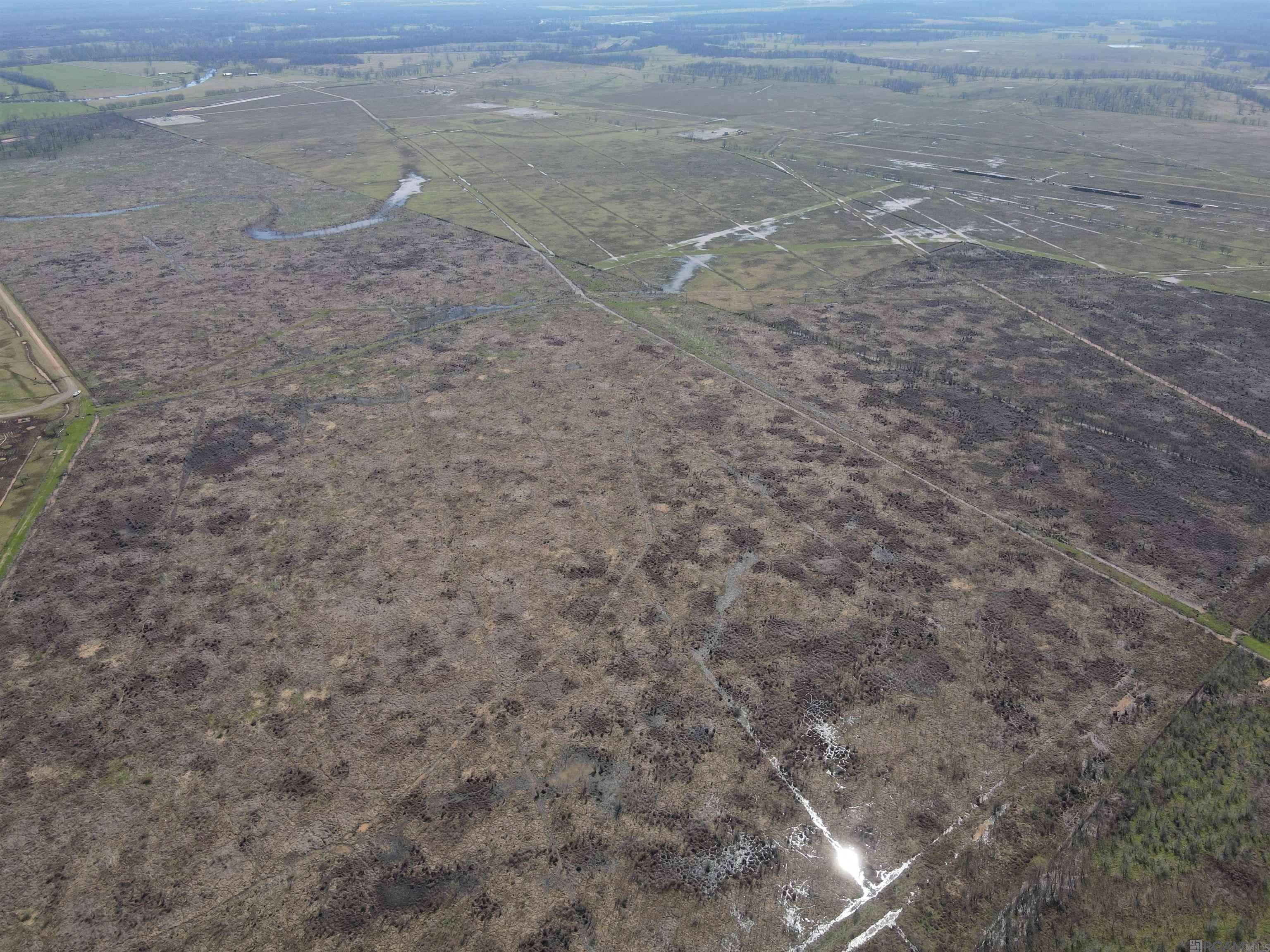 Mansfield, LA 71052,Abbington Loop