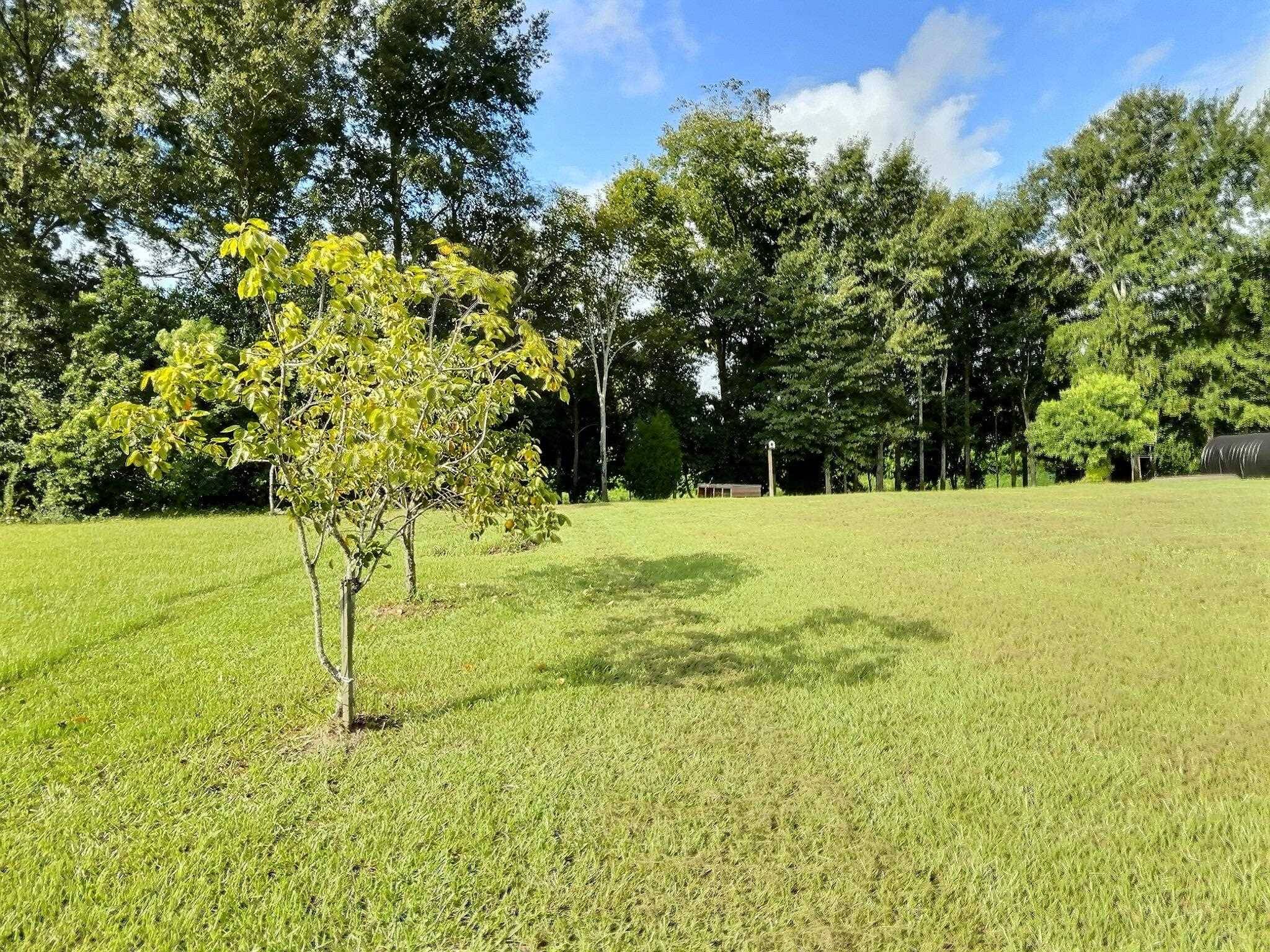 Labadieville, LA 70372,2875 Highway 308