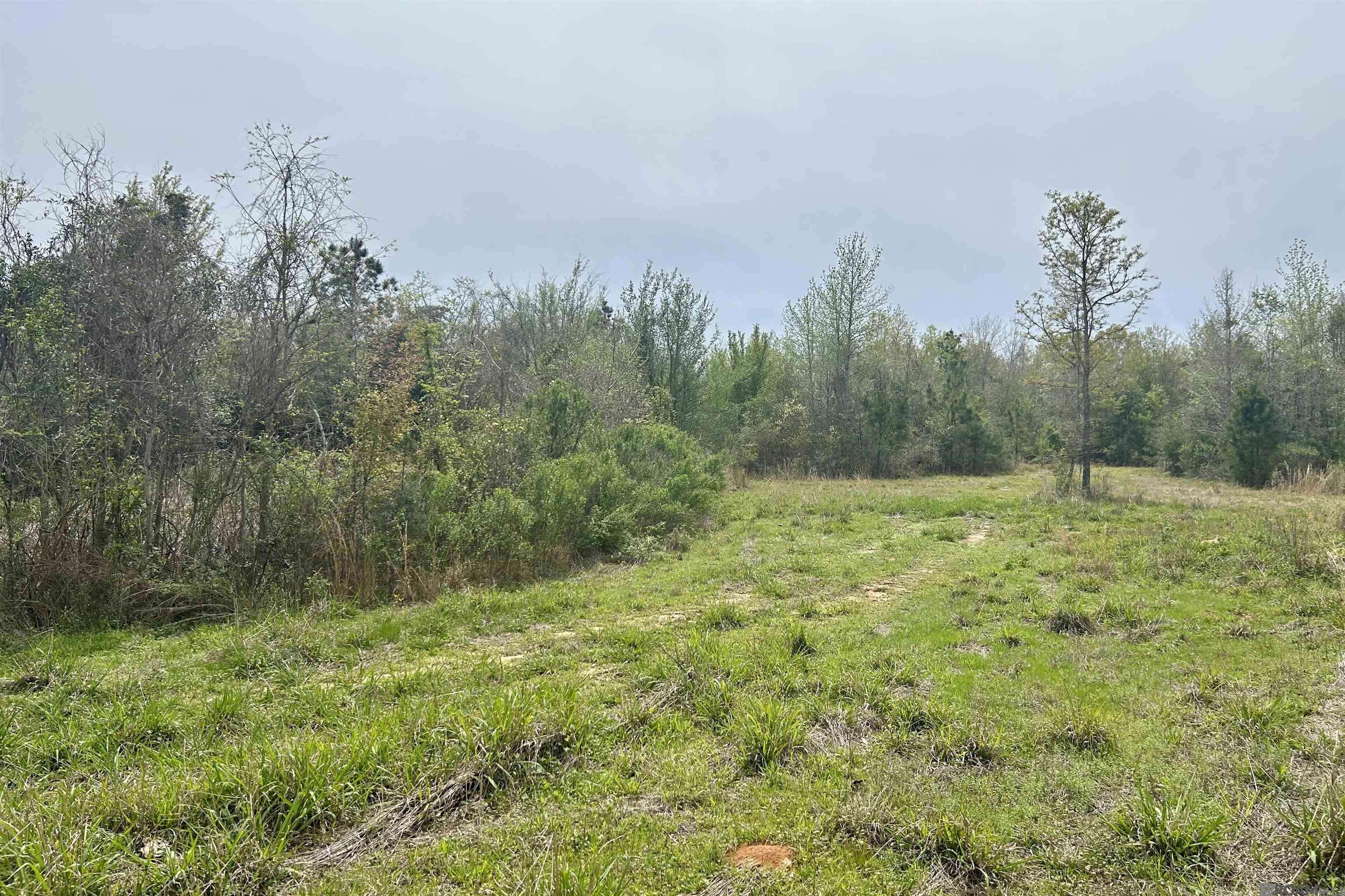 Clinton, LA 70722,20 La Hwy 960