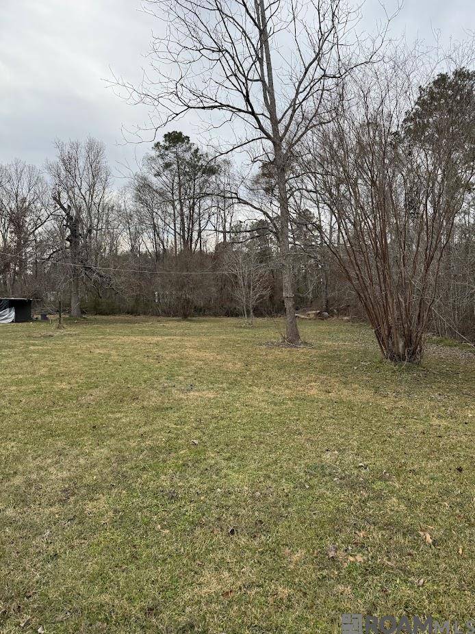 Port Vincent, LA 70726,14775 Lucien