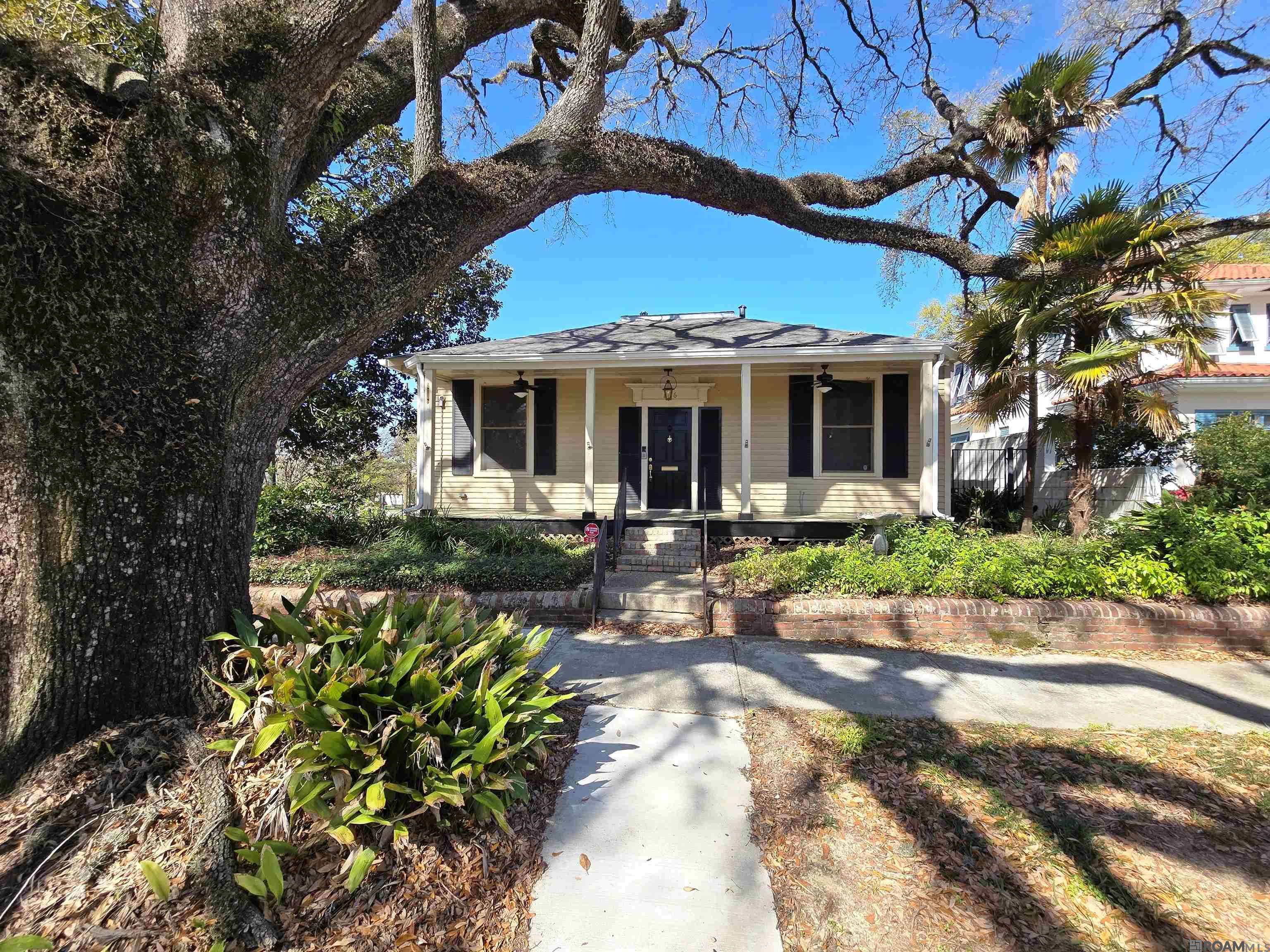 Baton Rouge, LA 70802,256 East Blvd