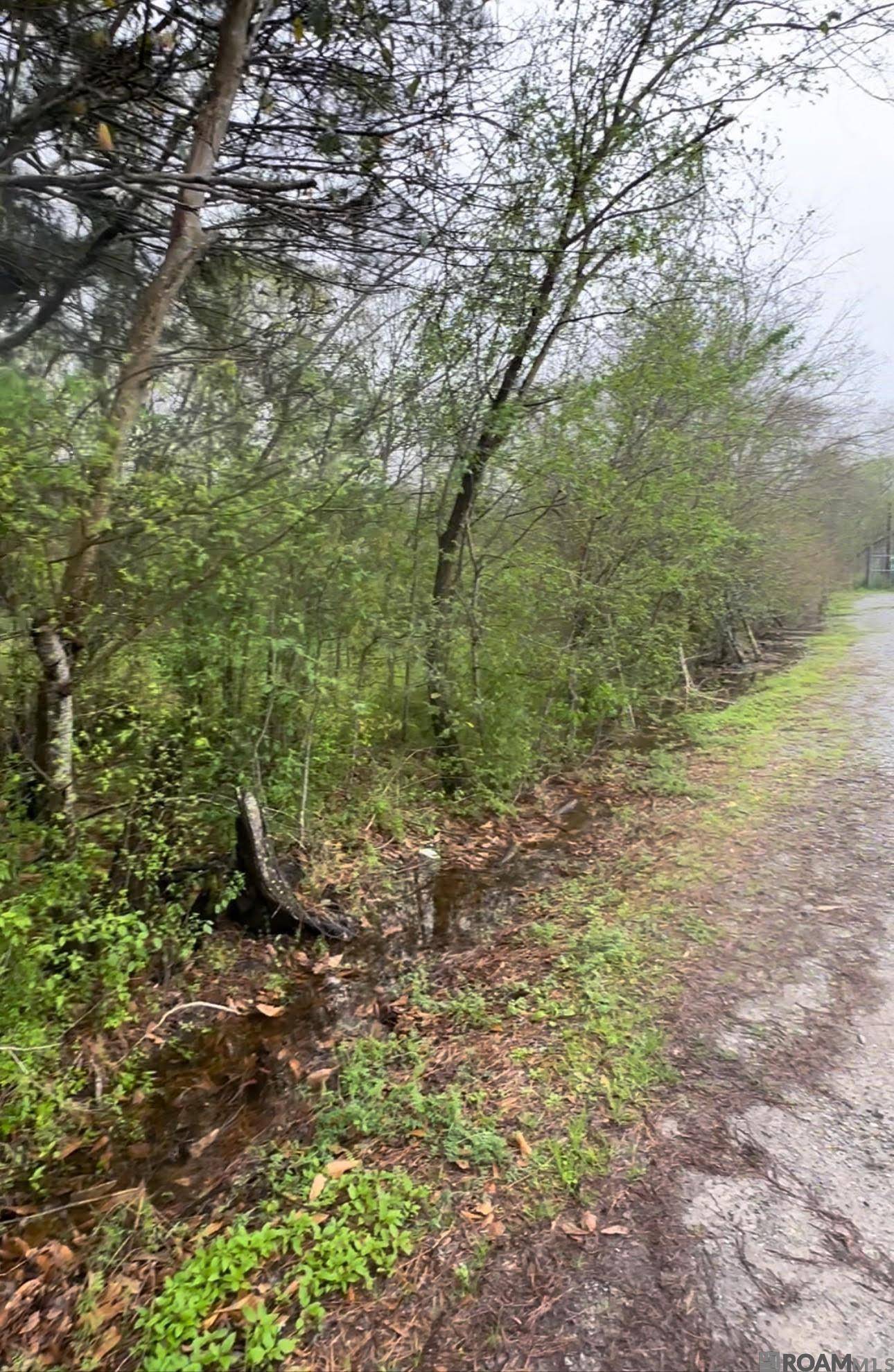 Belle Chasse, LA 70037,TBD Highway 23