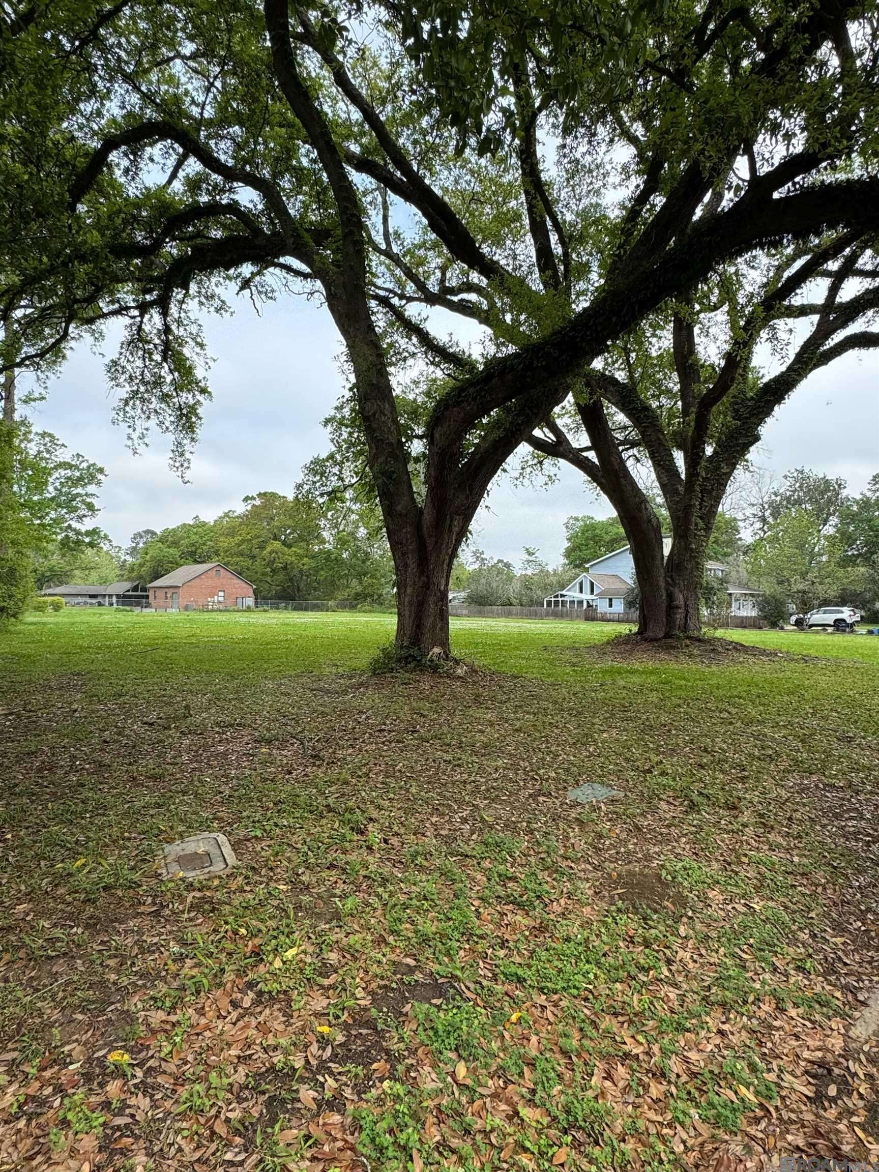 Baton Rouge, LA 70808,253 Sunset Blvd