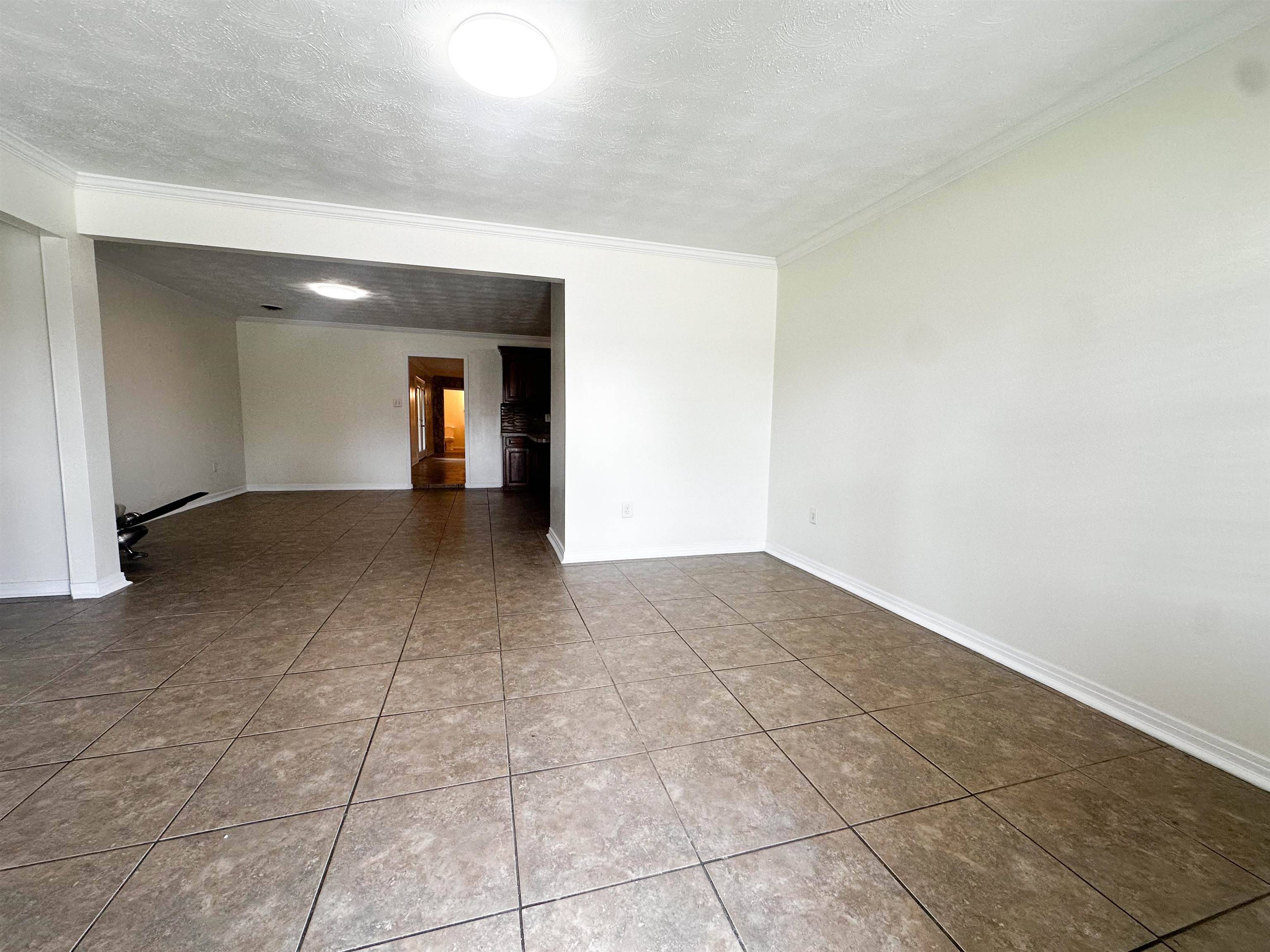 Gray, LA 70359,701 Linda Ann Avenue