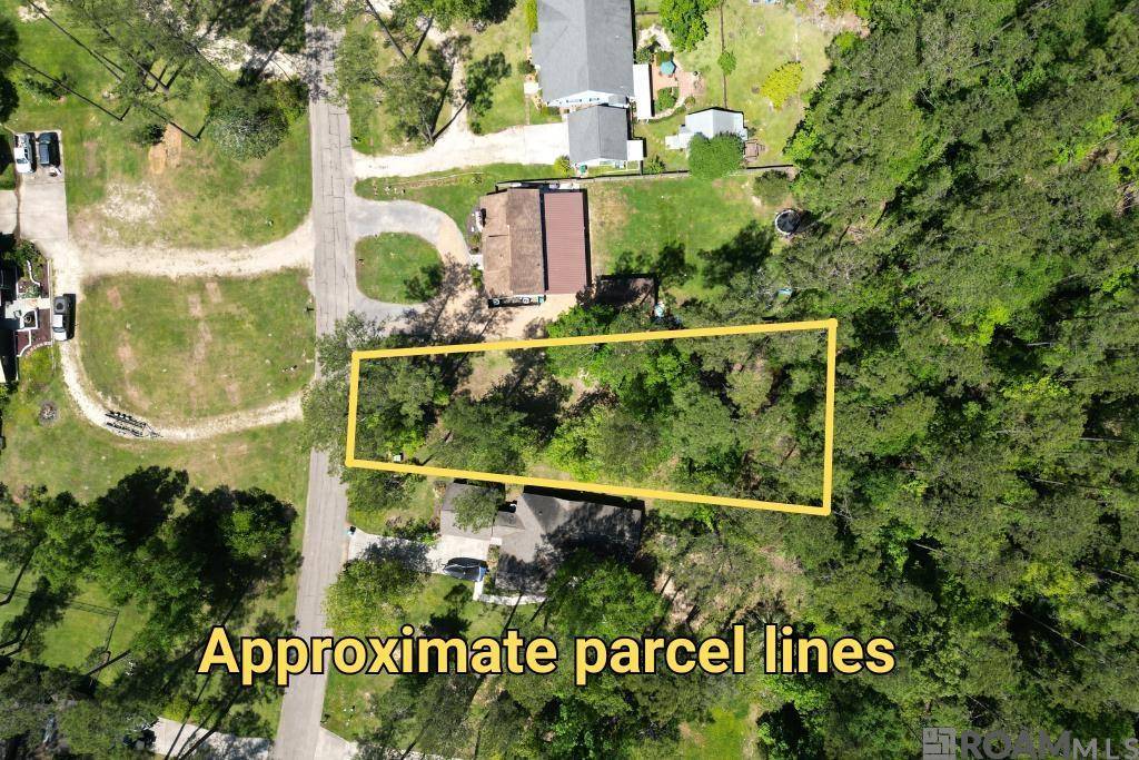 Springfield, LA 70462,31531 River Pines Dr