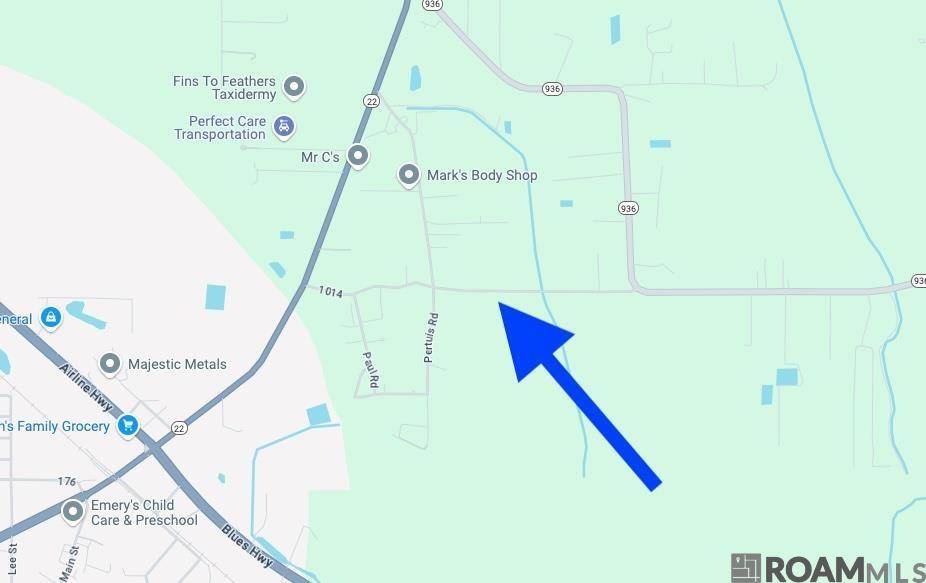 St Amant, LA 70774,Tract 2-A-2 Melancon Rd