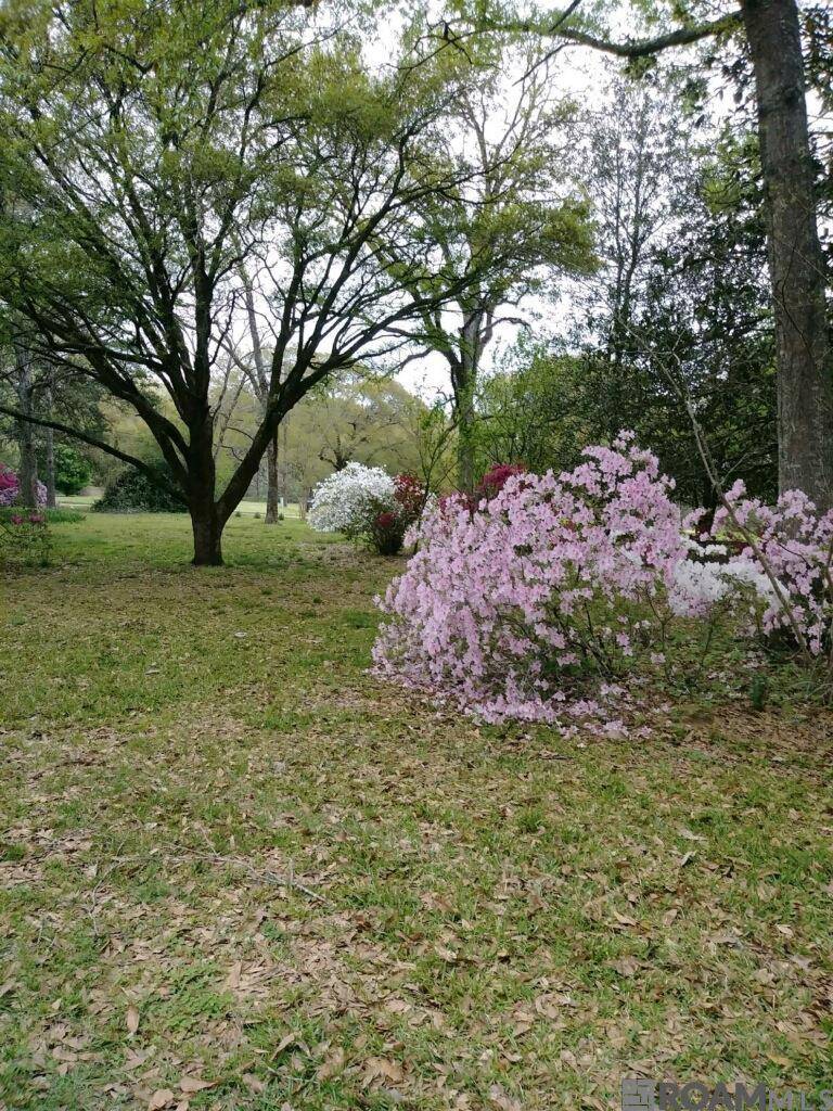 Woodville, MS 39669,2010 Jackson La Rd