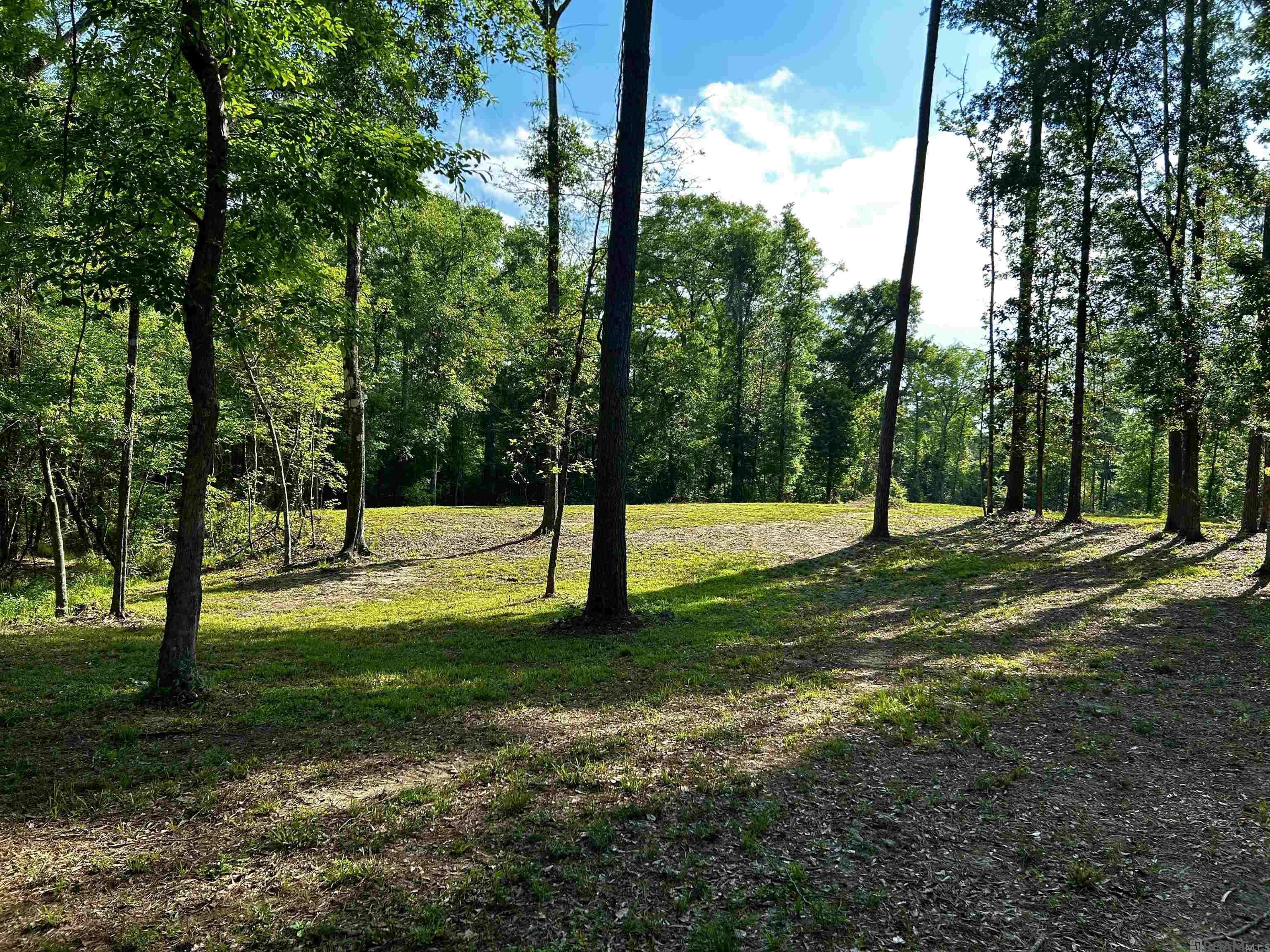 Holden, LA 70744,22130 Hopkins Rd