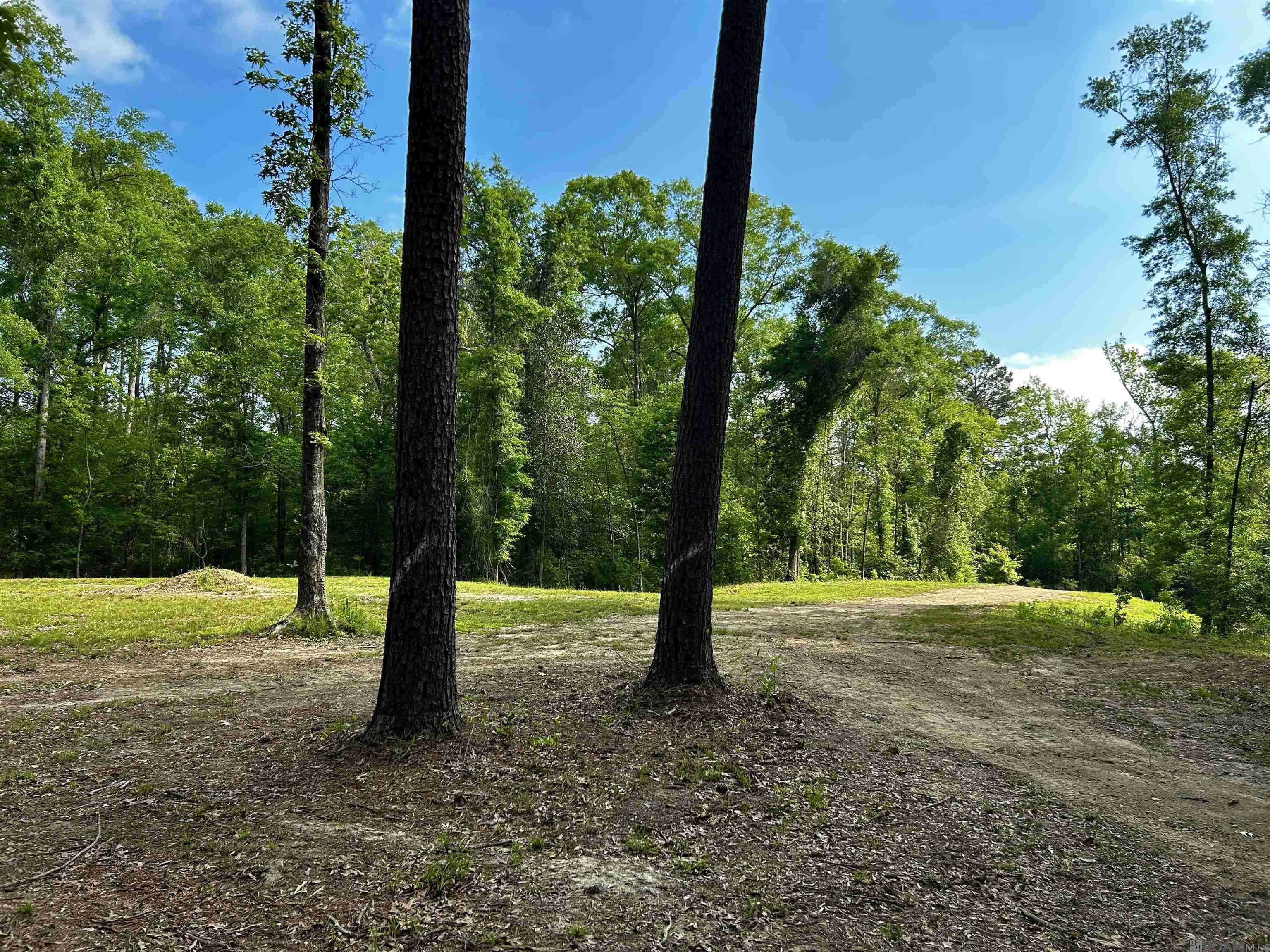 Holden, LA 70744,22130 Hopkins Rd