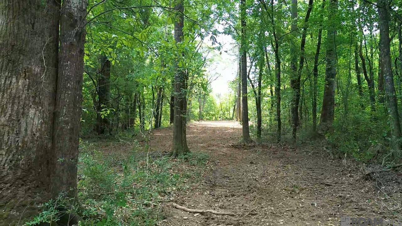 Roseland, LA 70456,Tract 2-C-1 Bryce Hyde Rd