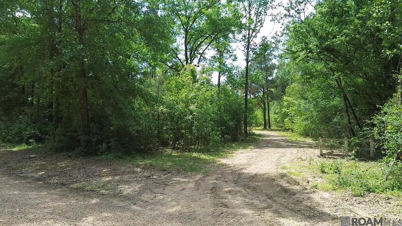 Roseland, LA 70456,Tract 2-C-1 Bryce Hyde Rd