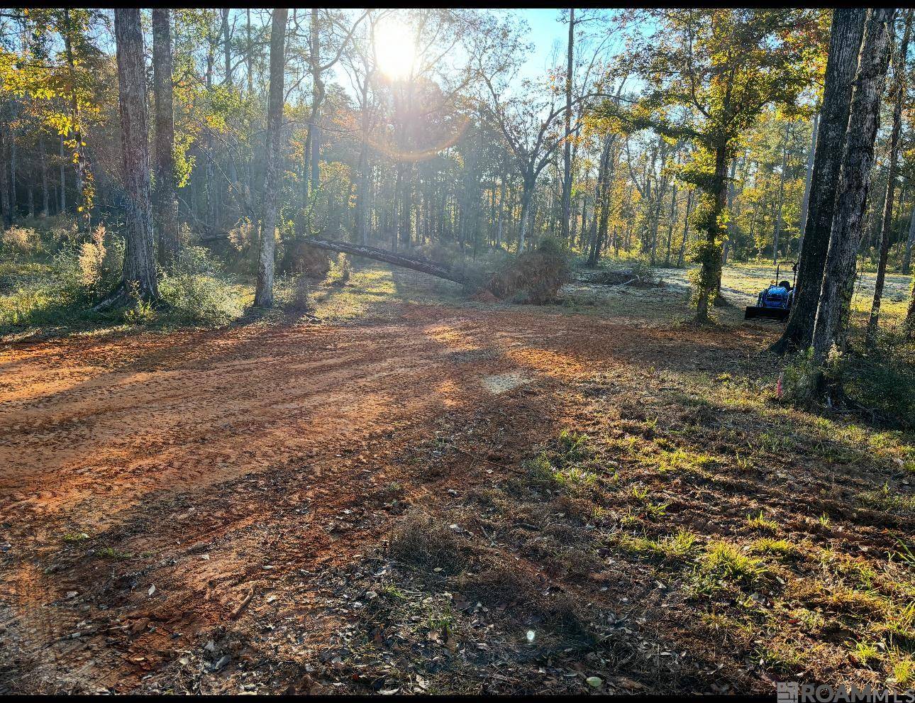 Clinton, LA 70722,8149 Hepzibah Rd