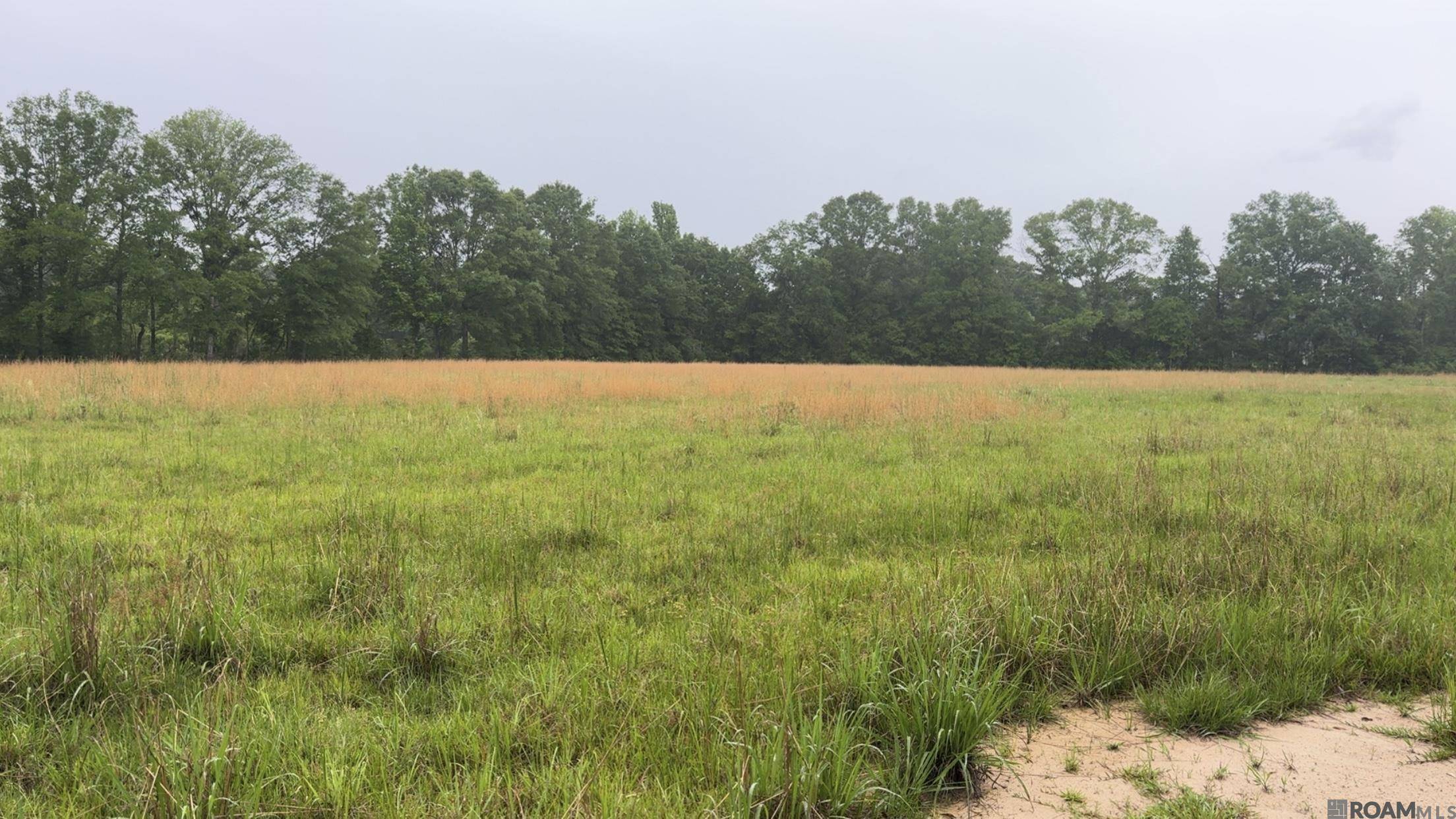 Kentwood, LA 70444,20182 La Hwy 10