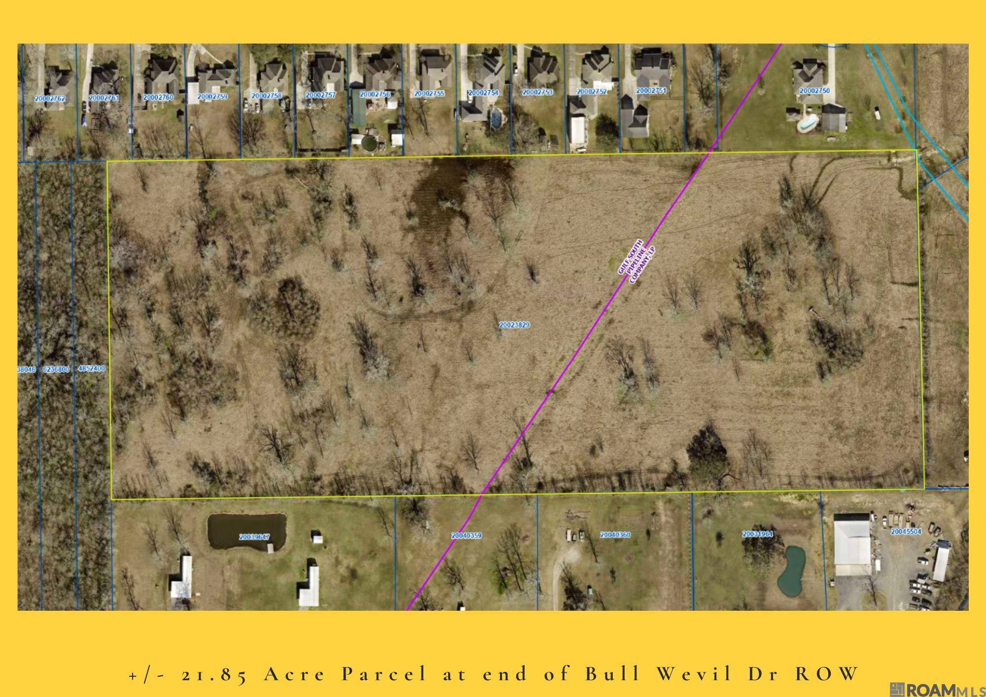Gonzales, LA 70737,21.85 acres Bull Wevil Dr