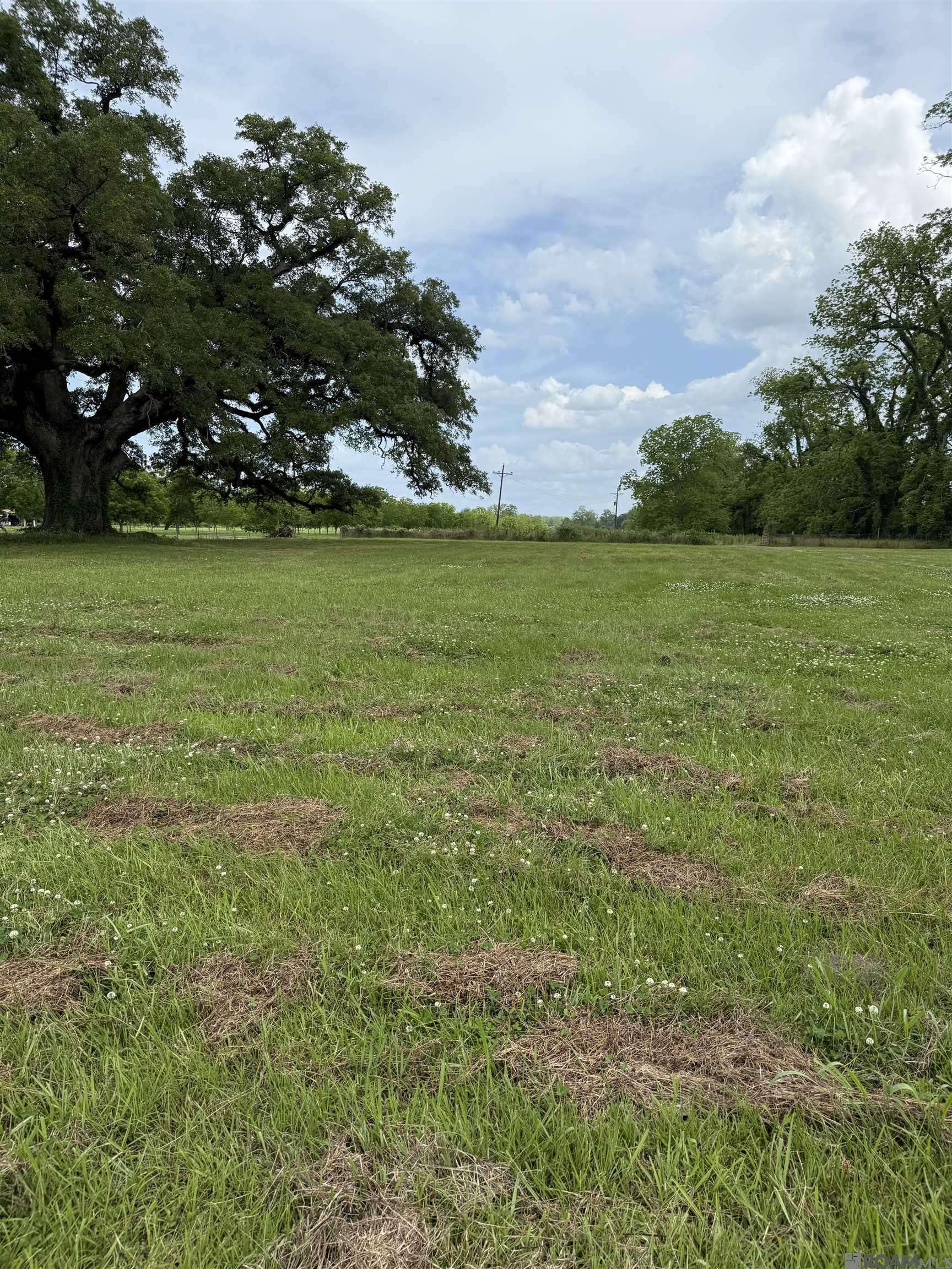 Ventress, LA 70783,8730 Island Rd