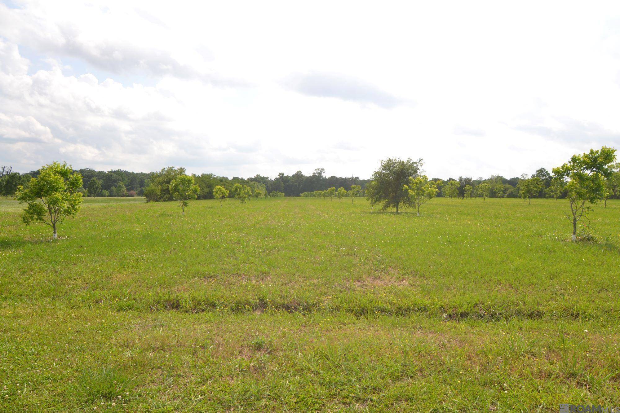 Maringouin, LA 70757,TBD Valverda Rd