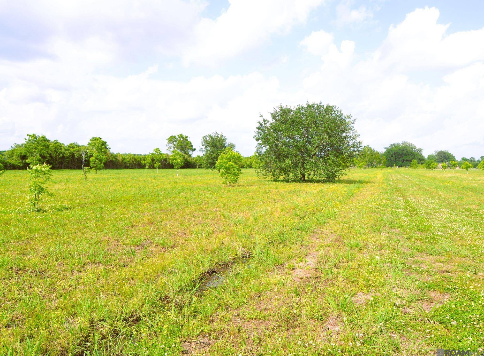Maringouin, LA 70757,TBD Valverda Rd