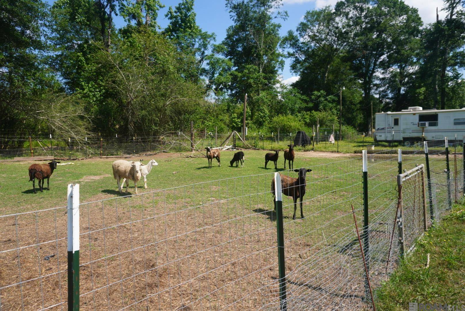 Kentwood, LA 70444,68569 La Hwy 1058