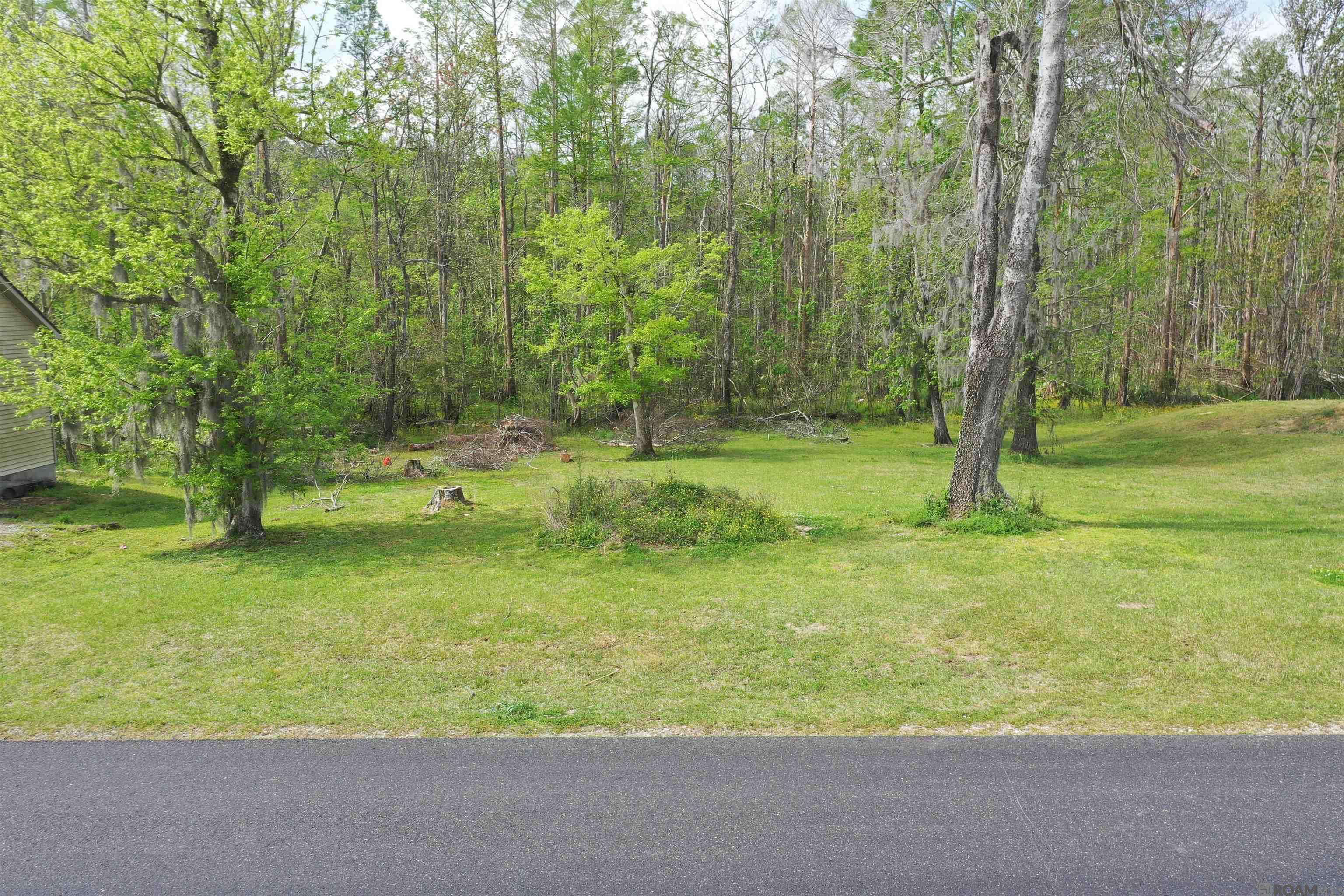 St Amant, LA 70774,12595 Bayou Terrace Dr