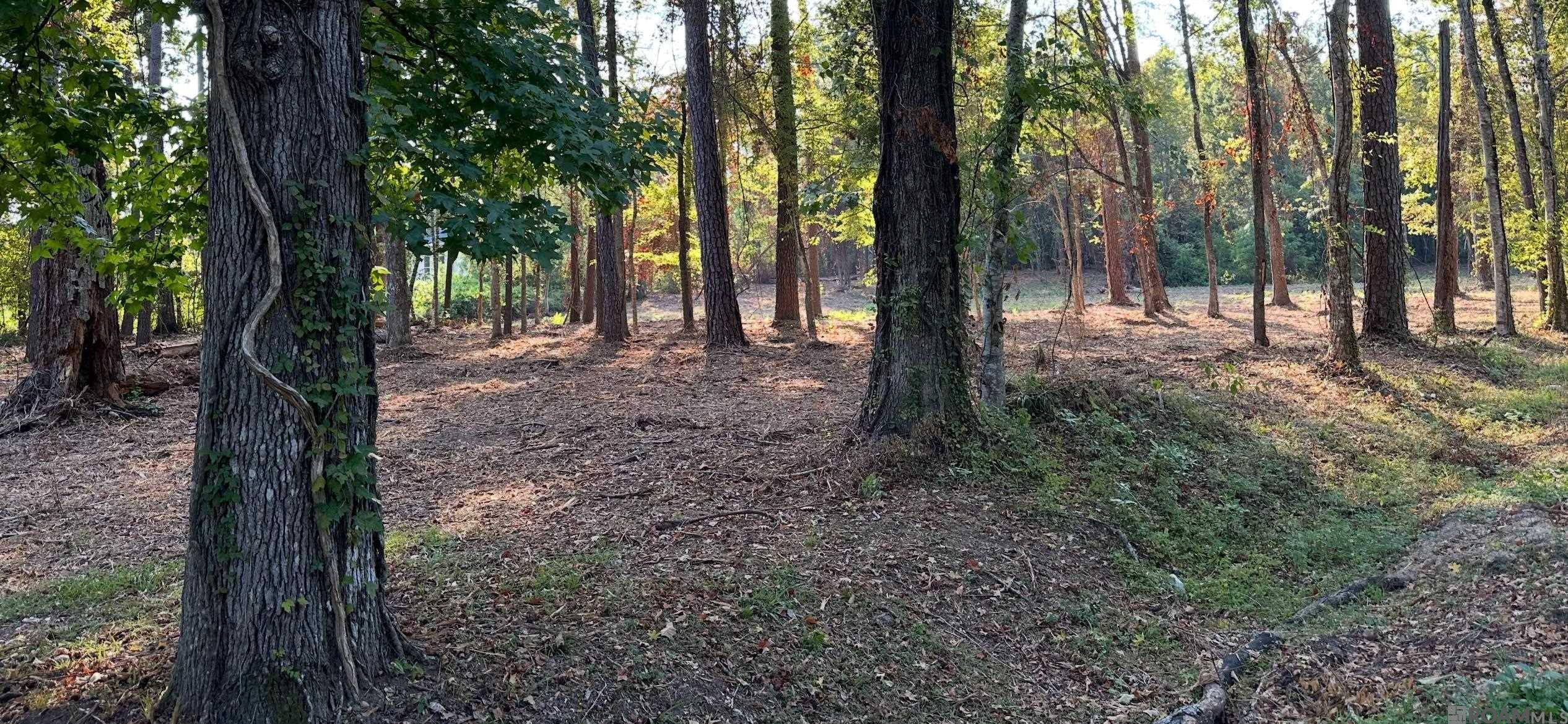 Madisonville, LA 70447,0 Koepp Road