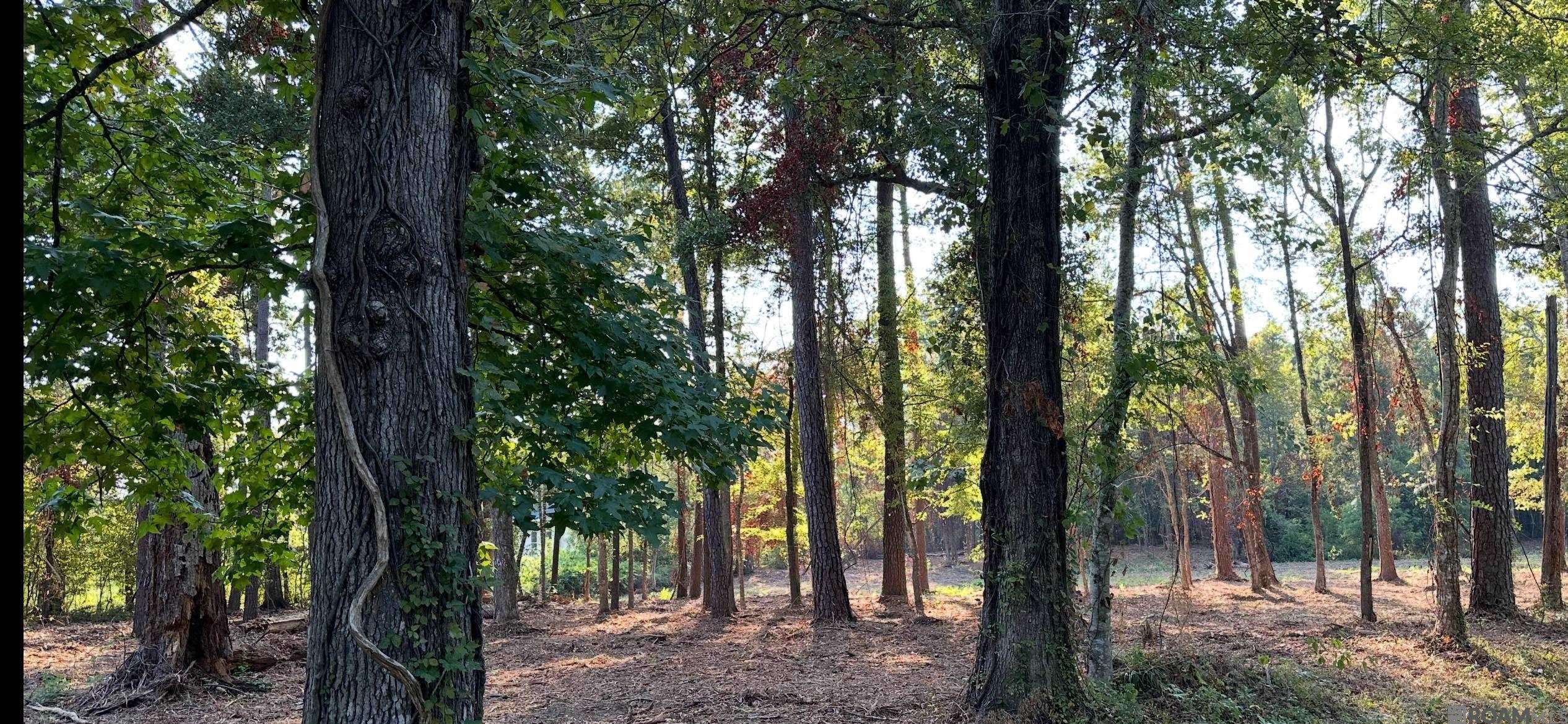 Madisonville, LA 70447,0 Koepp Road