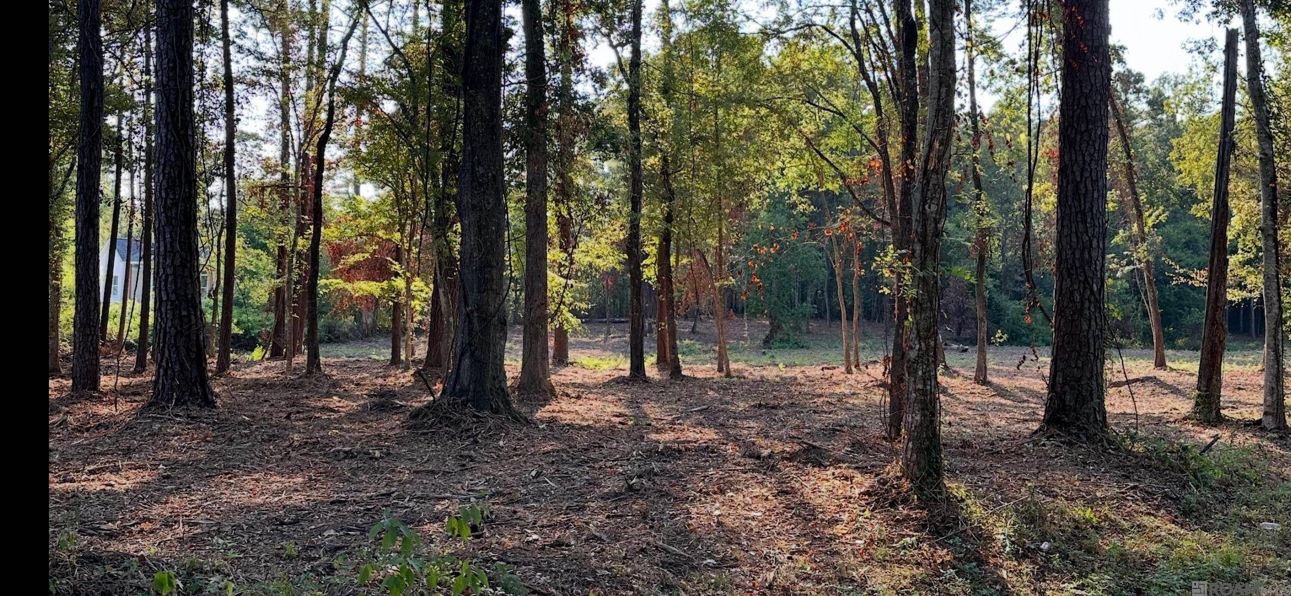 Madisonville, LA 70447,0 Koepp Road